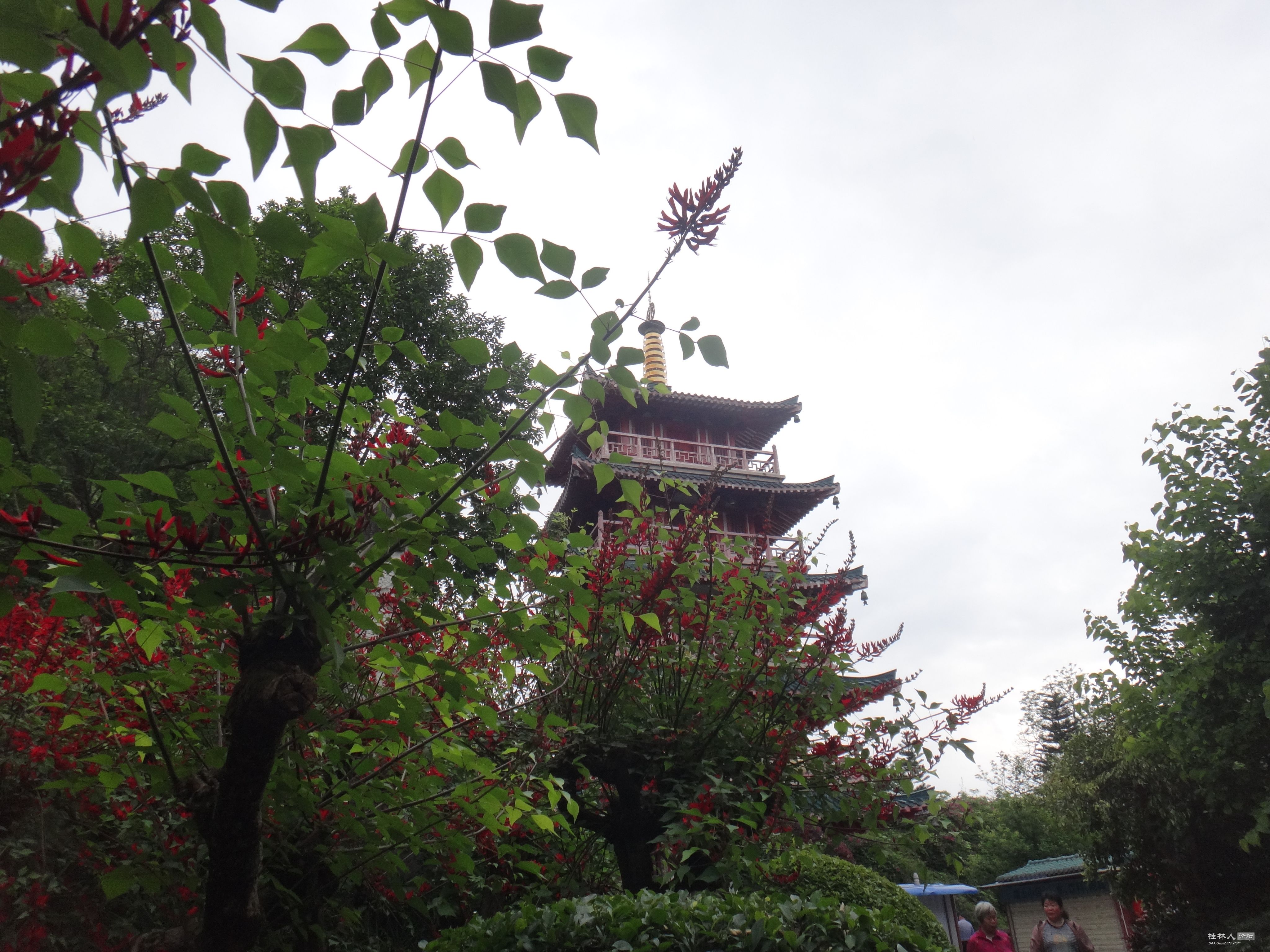 DSC04614.JPG