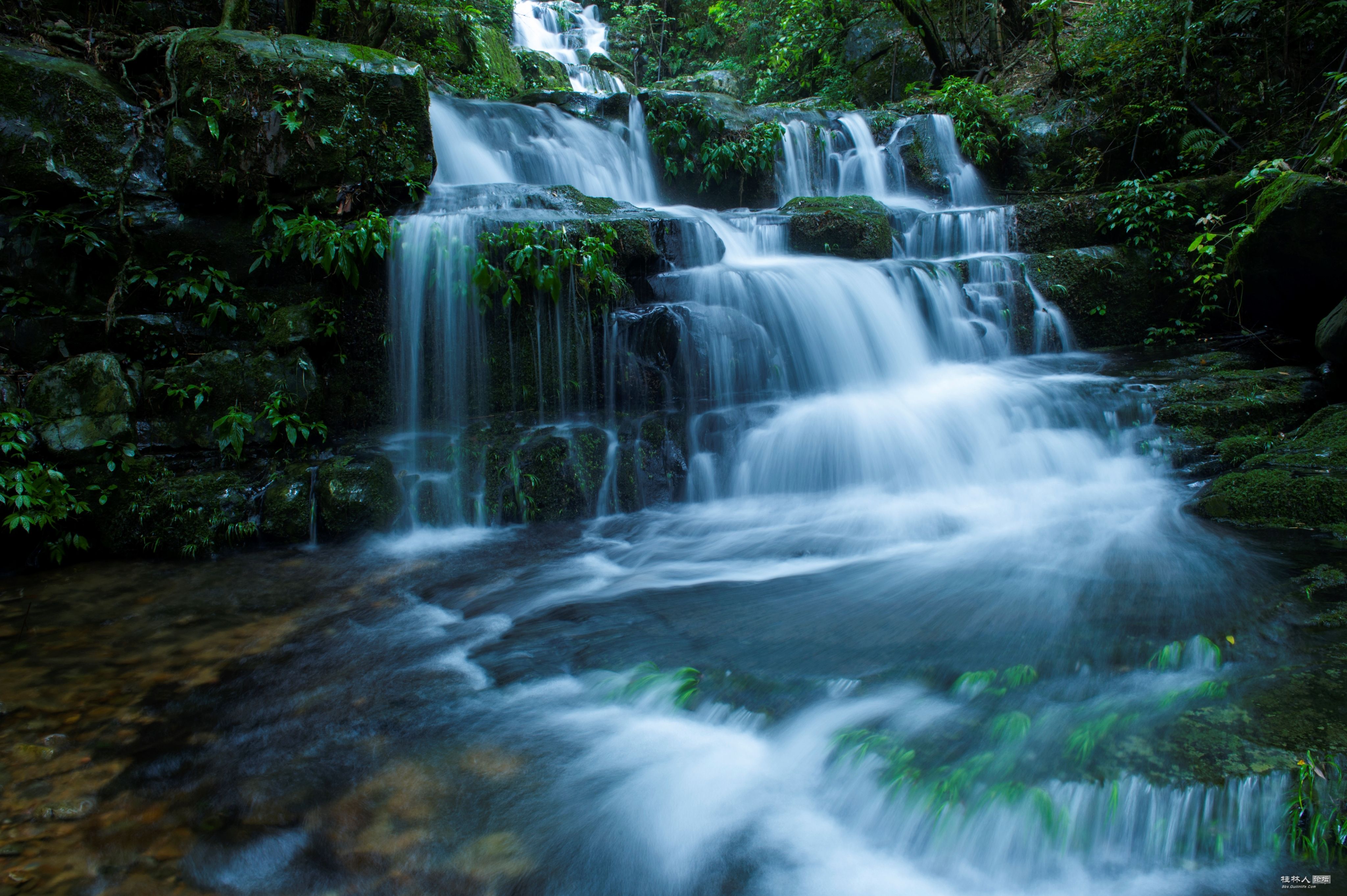 _DSC5027-1.jpg