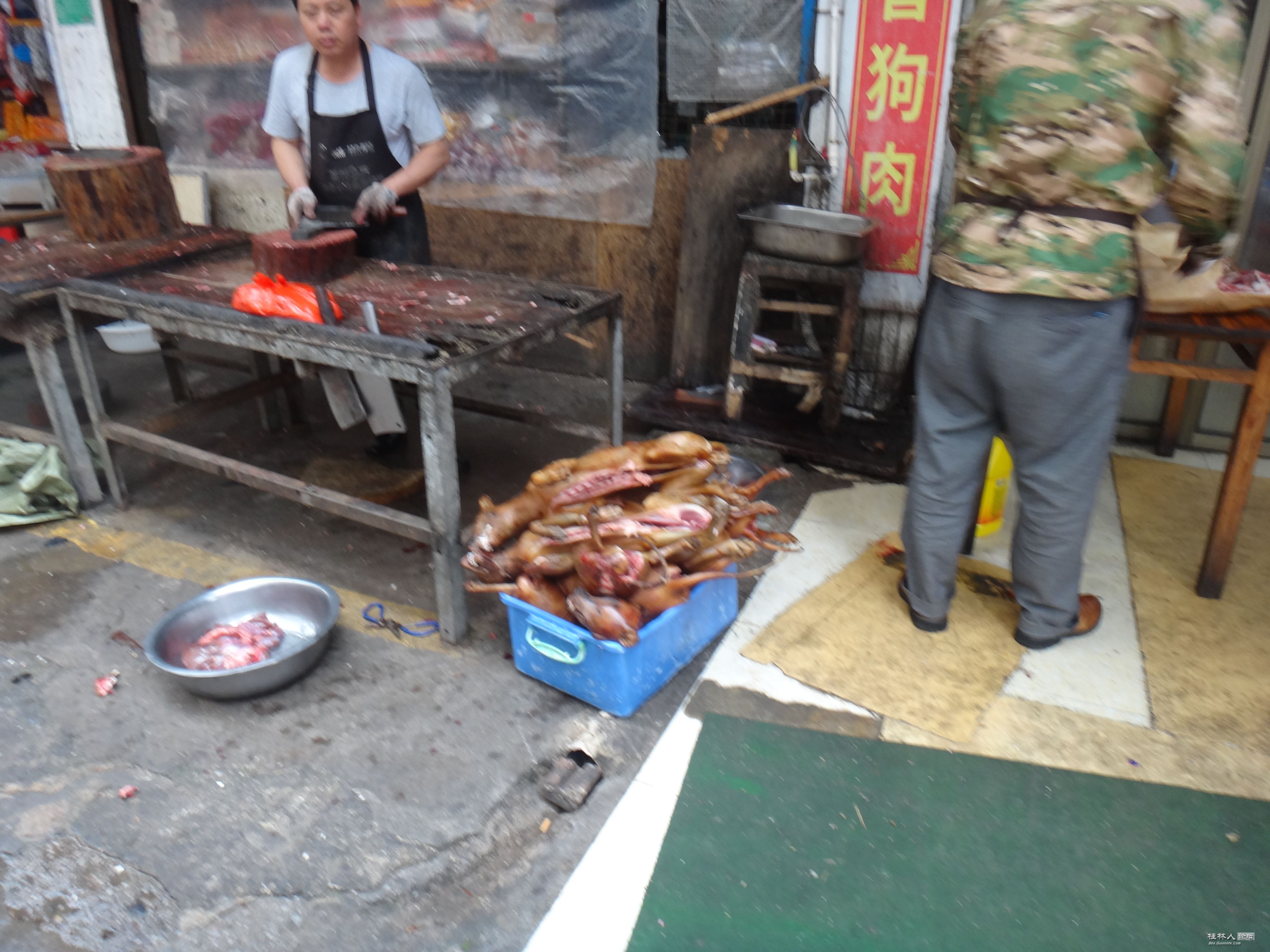 DSC04630.JPG