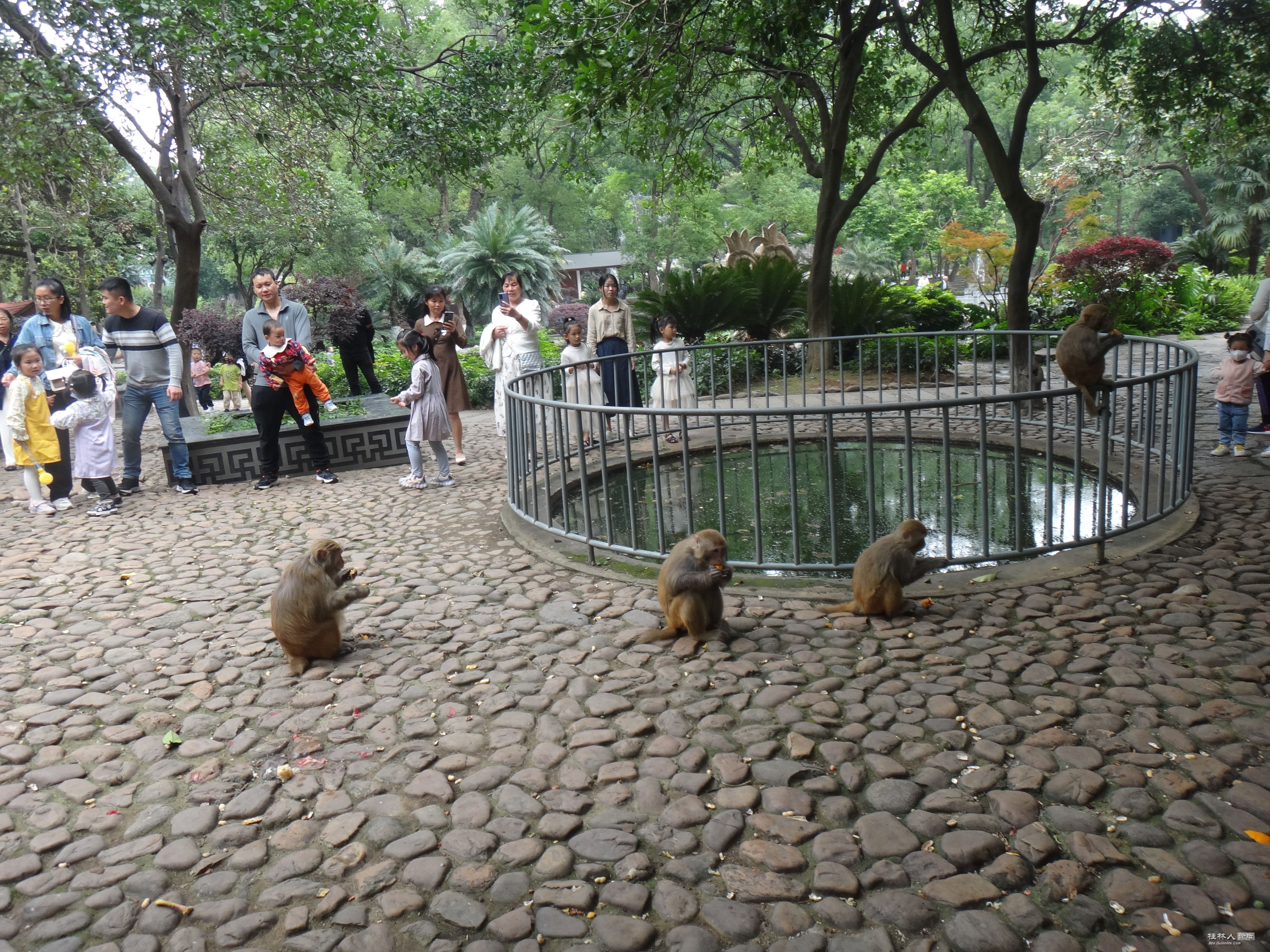 DSC04719.JPG