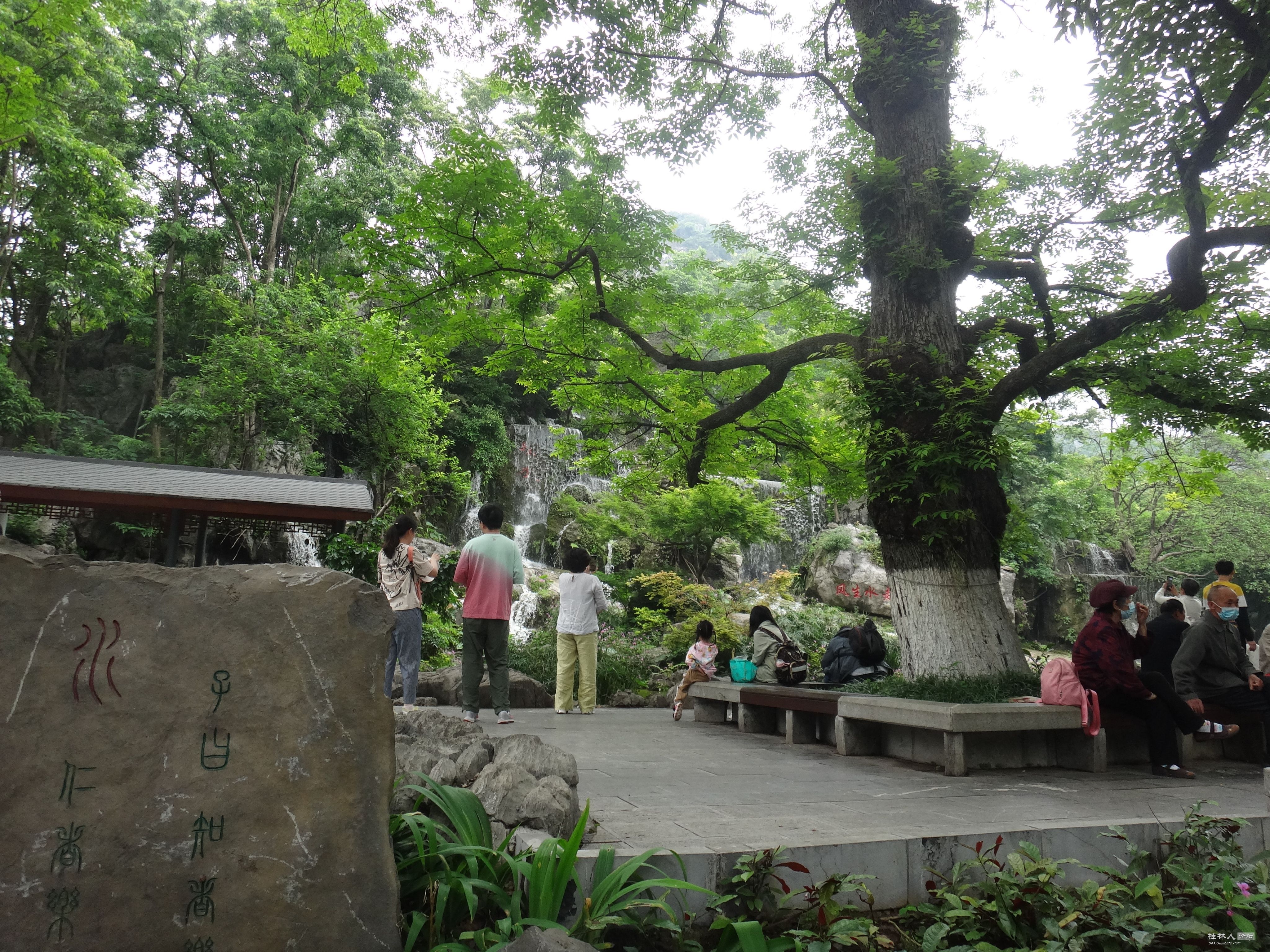 DSC04720.JPG