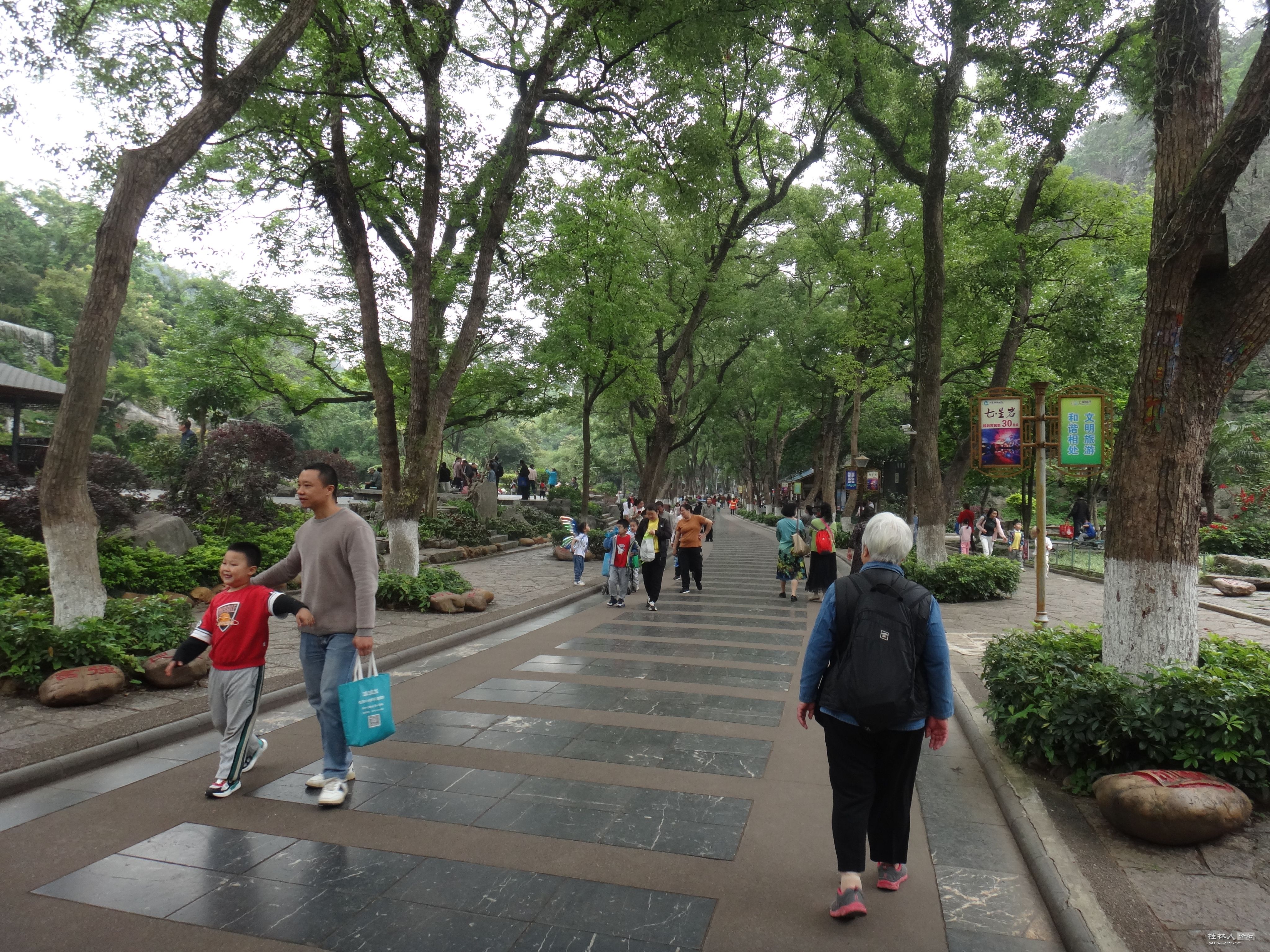 DSC04715.JPG