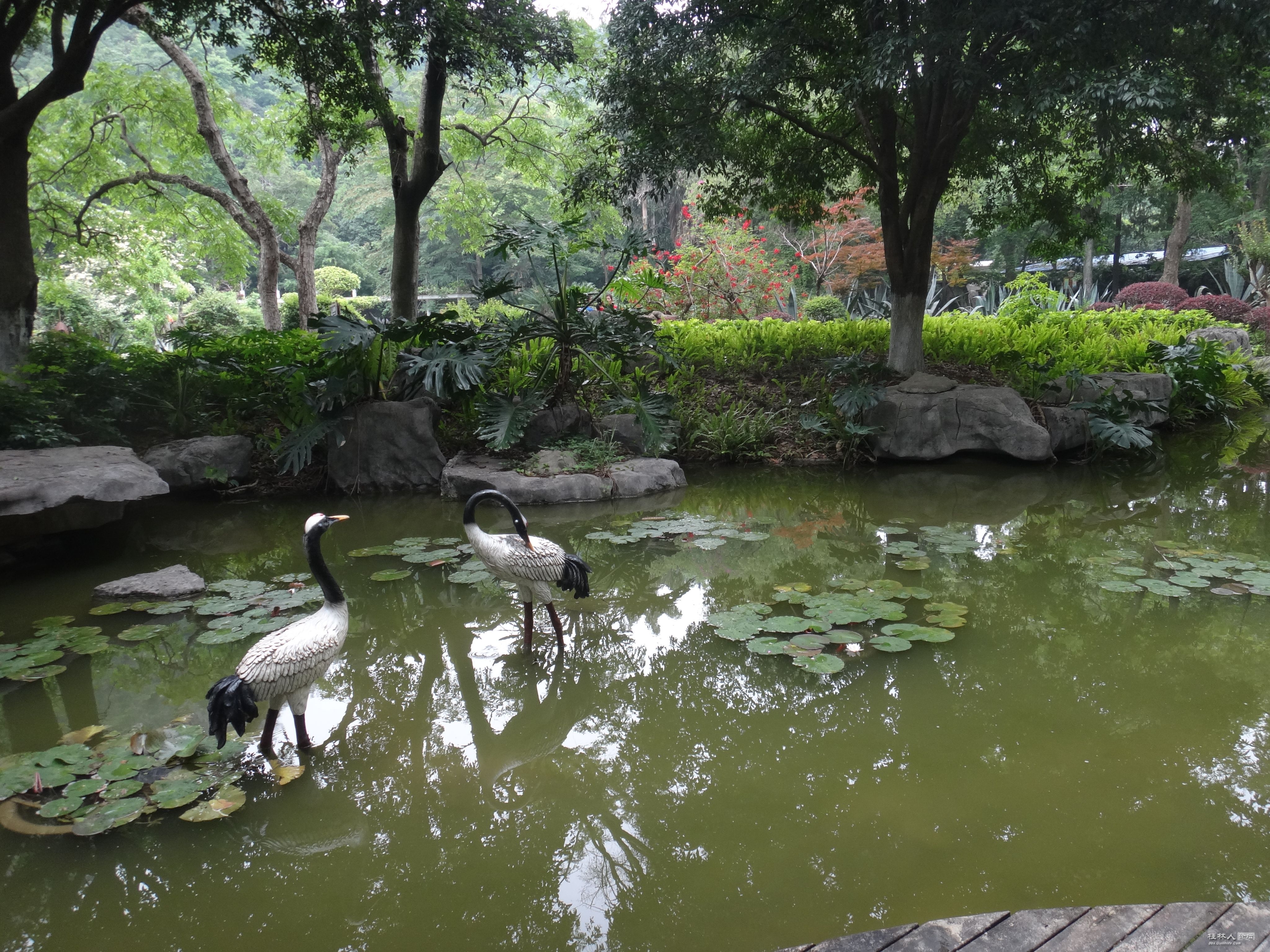 DSC04723.JPG