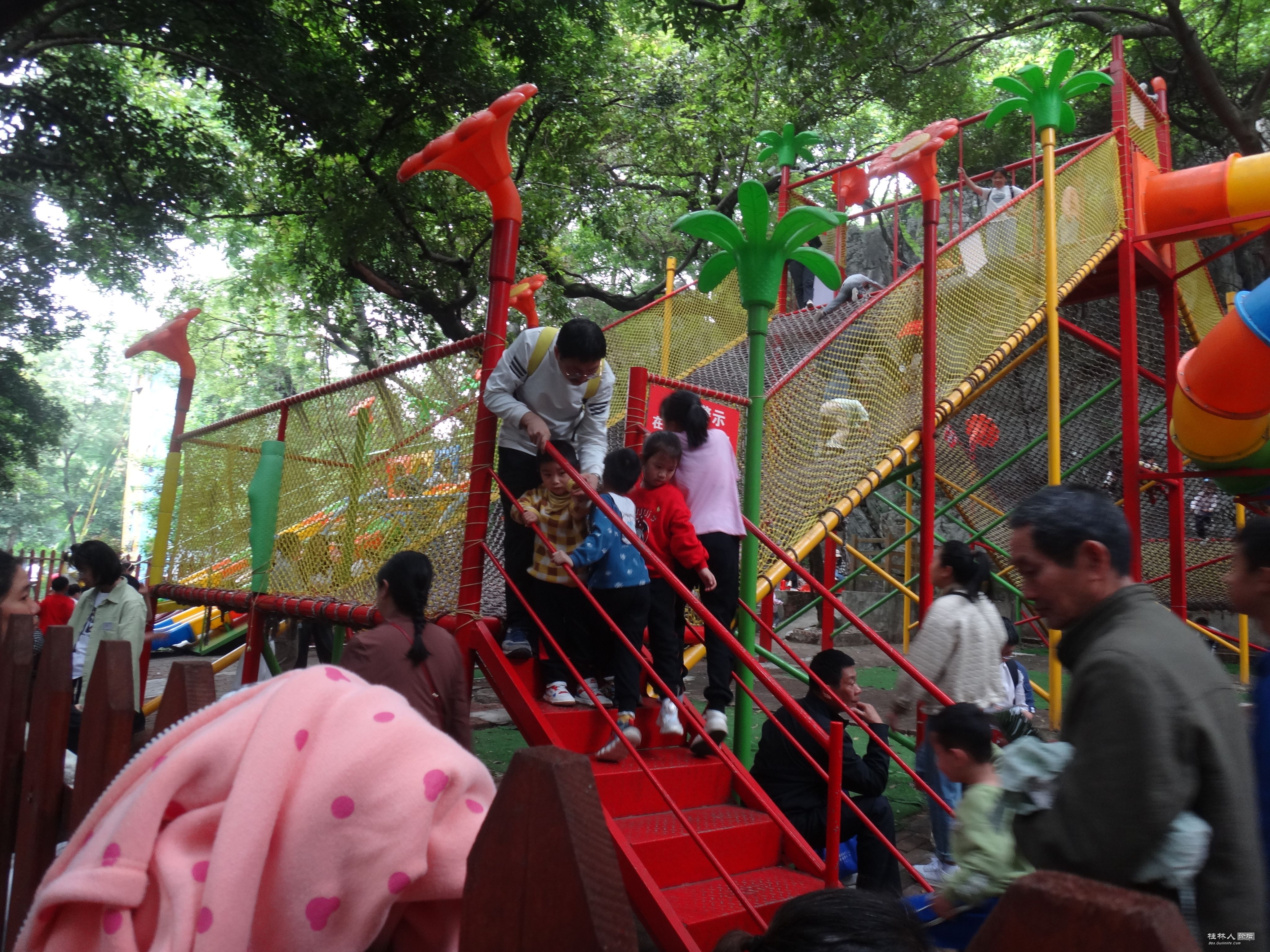 DSC04725.JPG