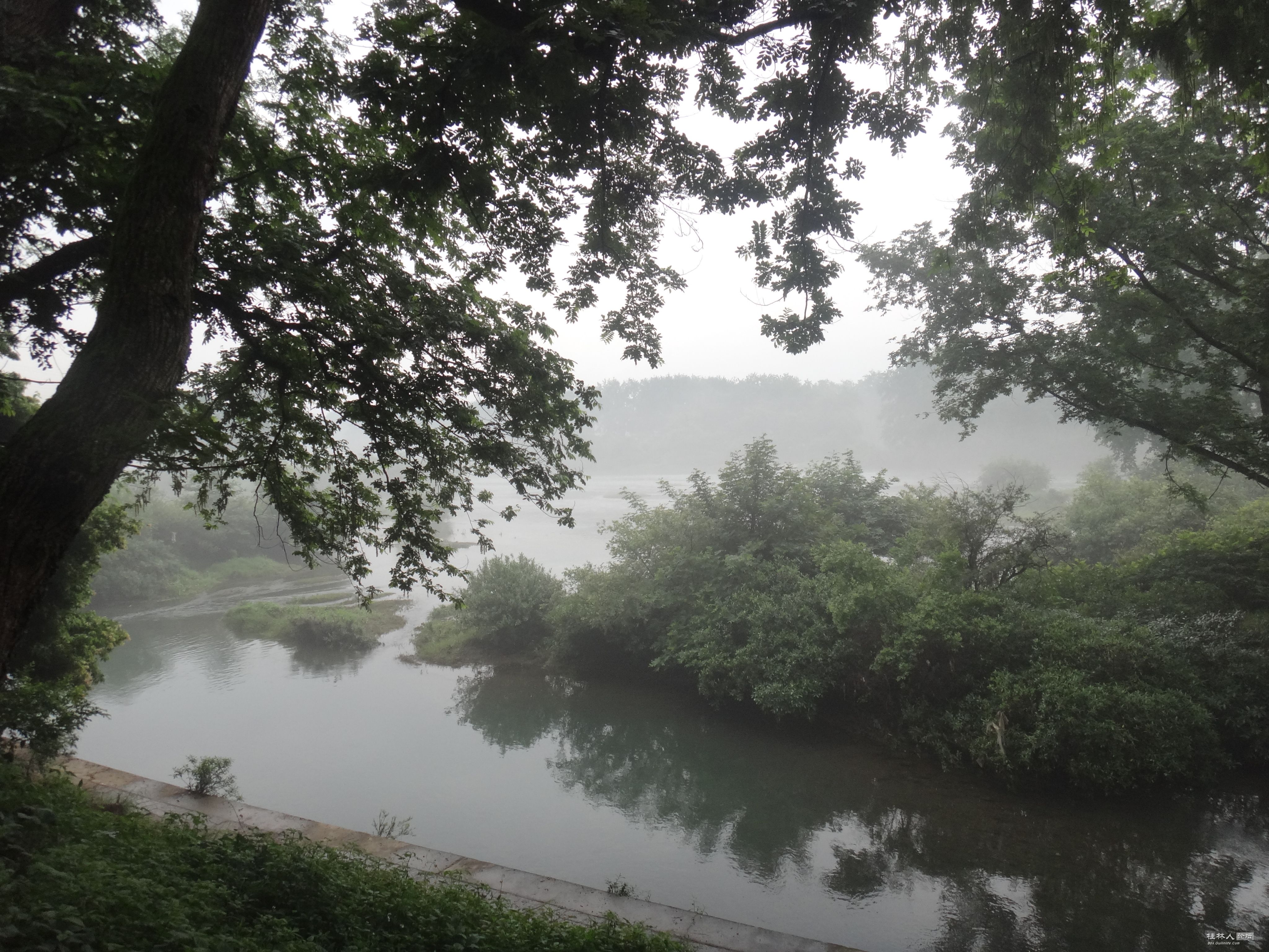 DSC04734.JPG