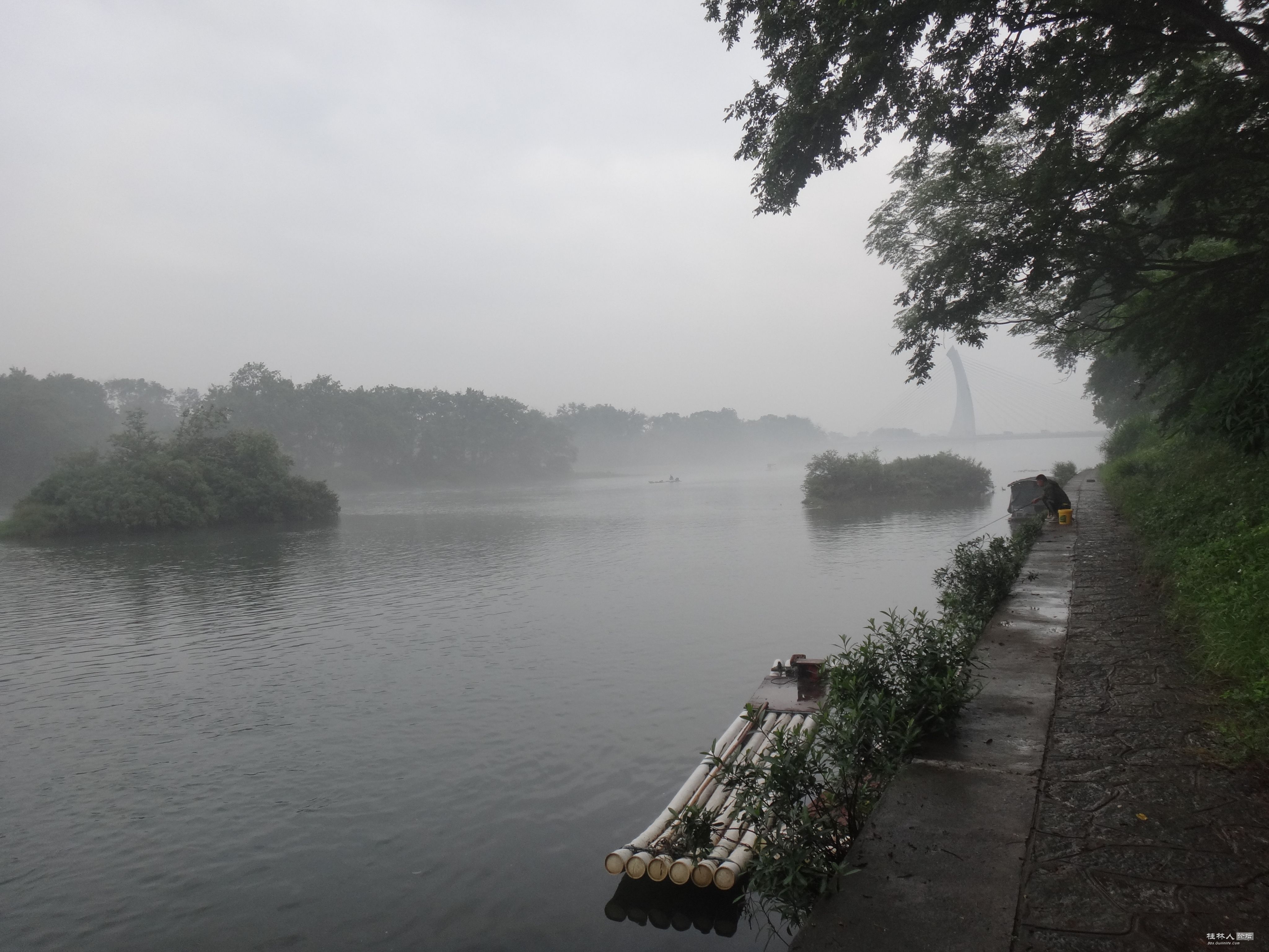 DSC04739.JPG