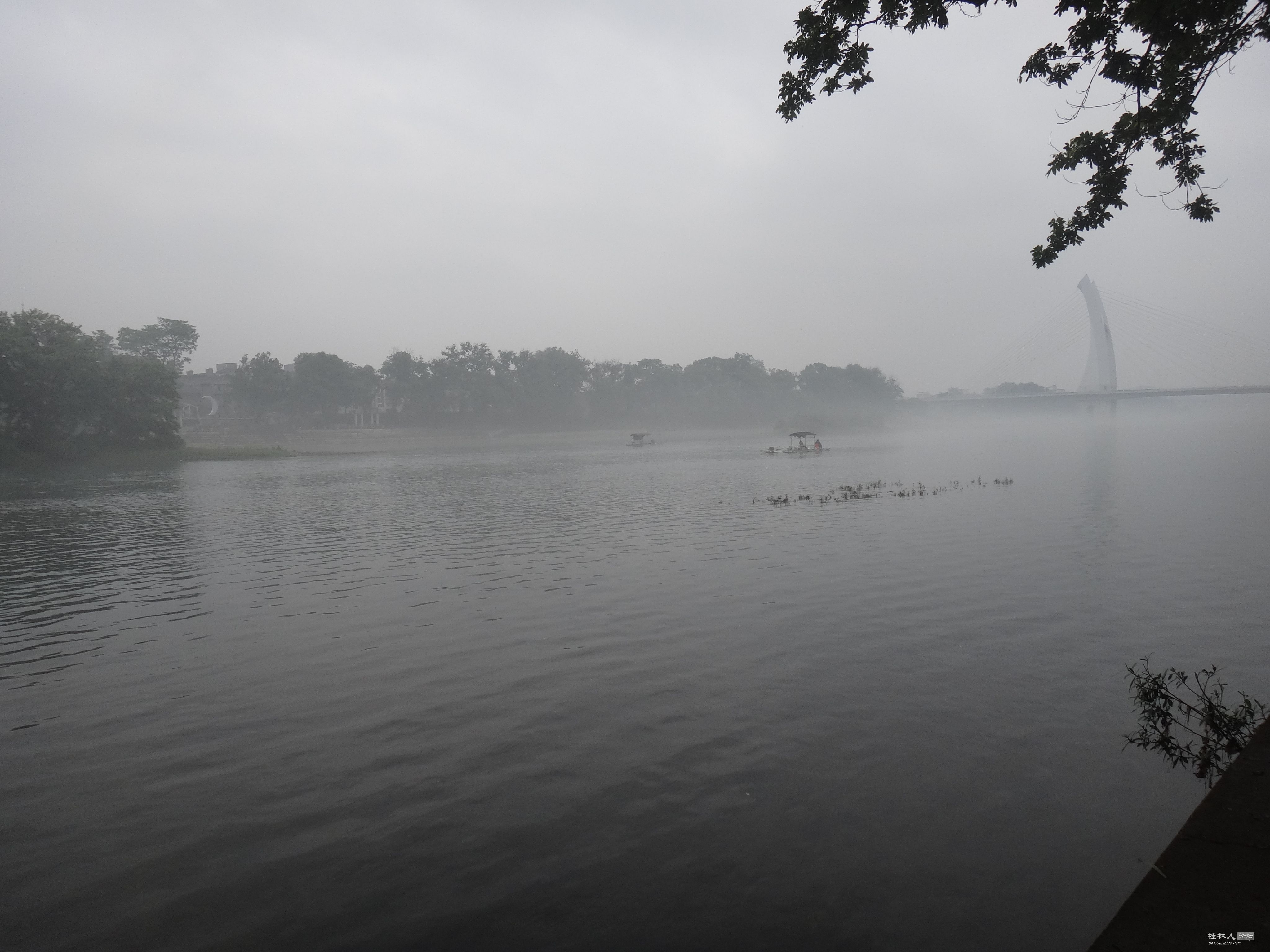 DSC04741.JPG