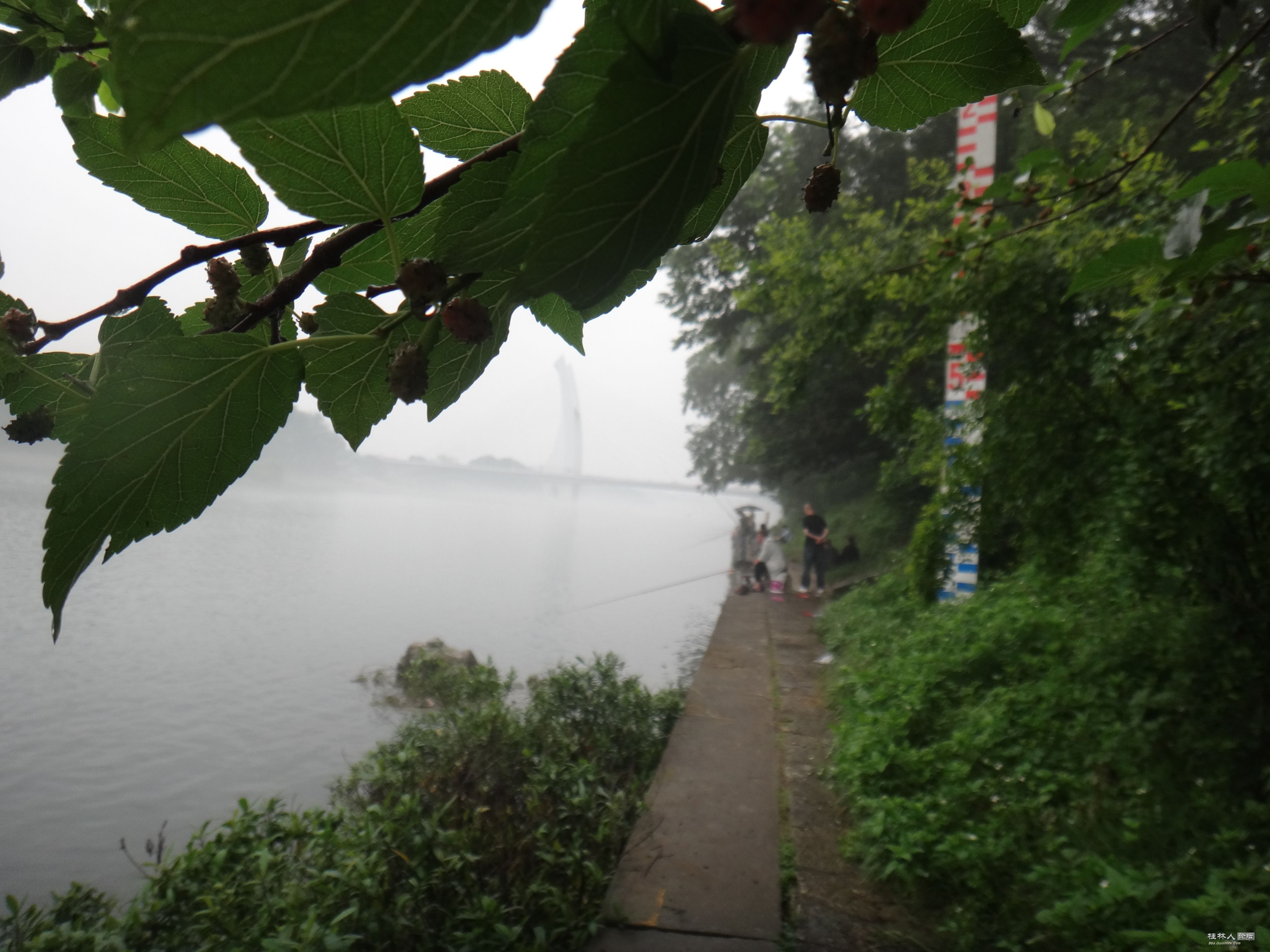 DSC04742.JPG