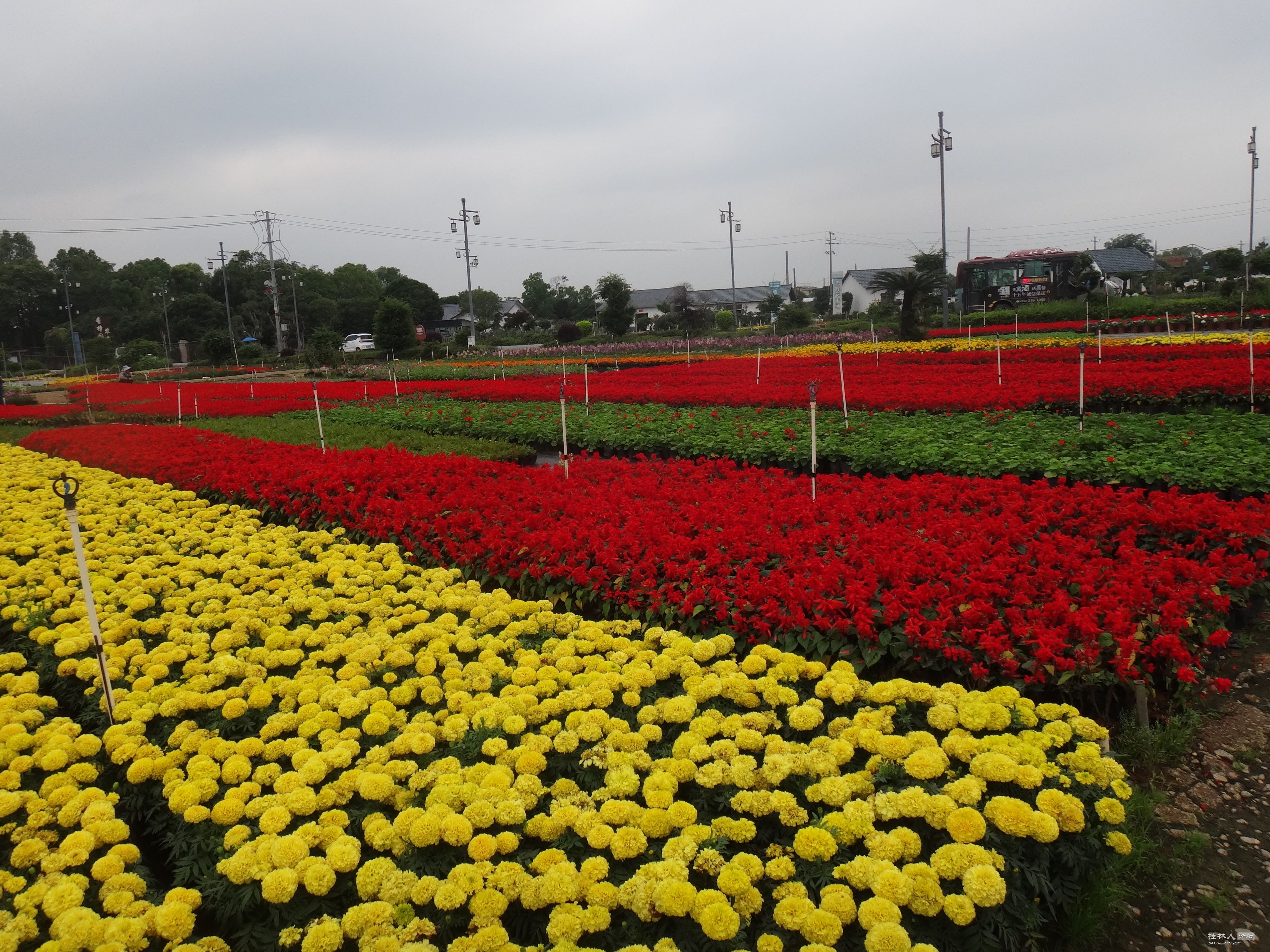 DSC04756.JPG