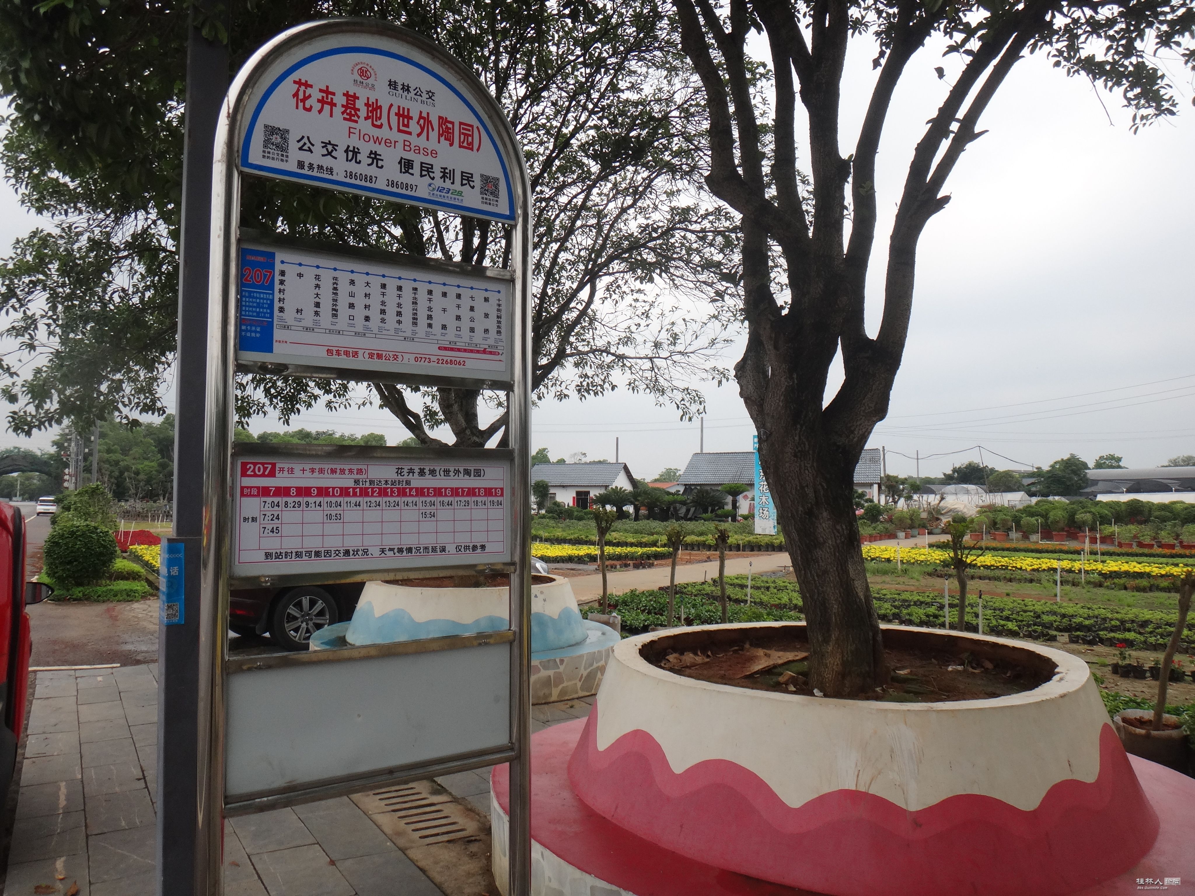 DSC04772.JPG