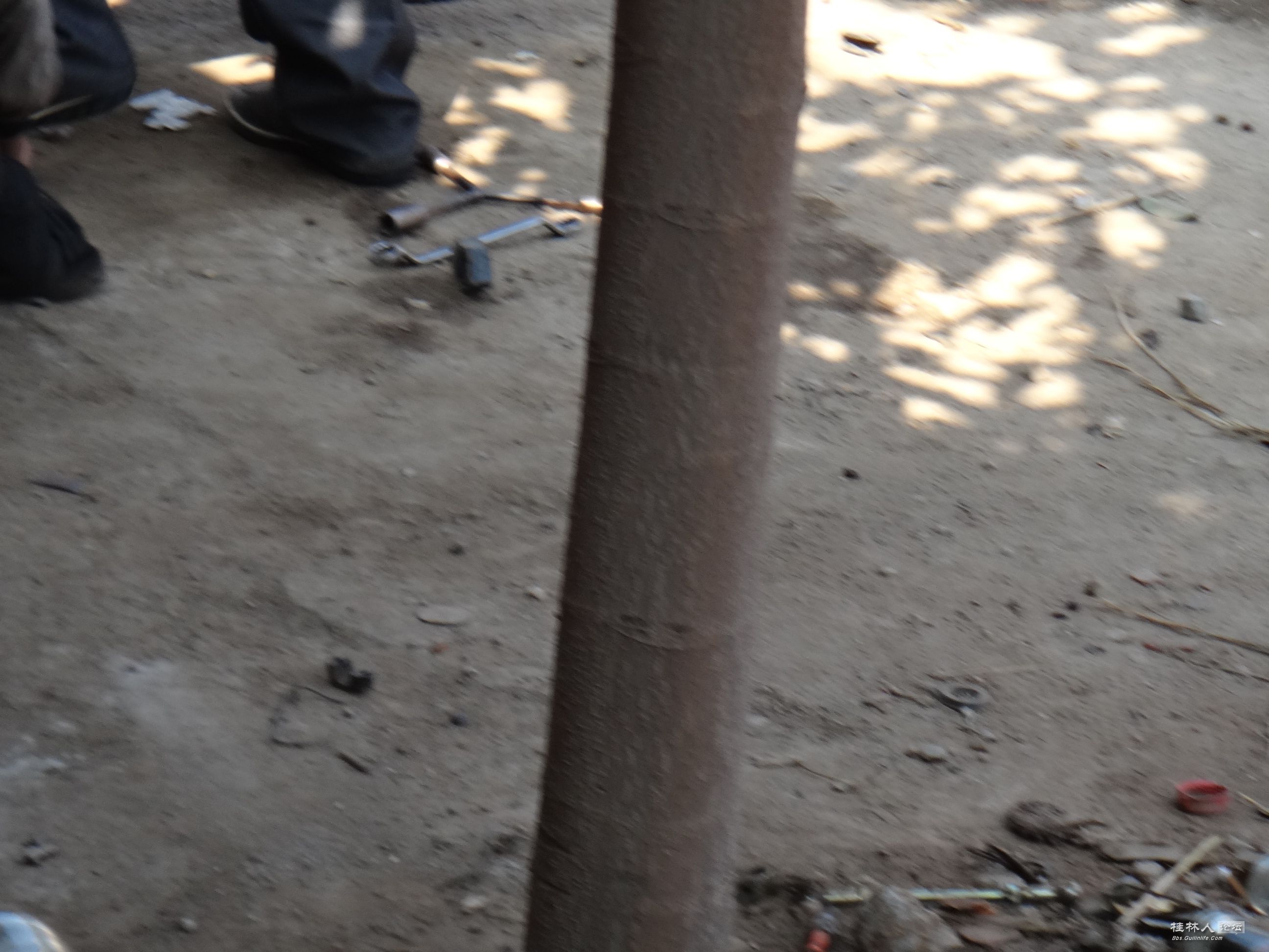 DSC02136.JPG