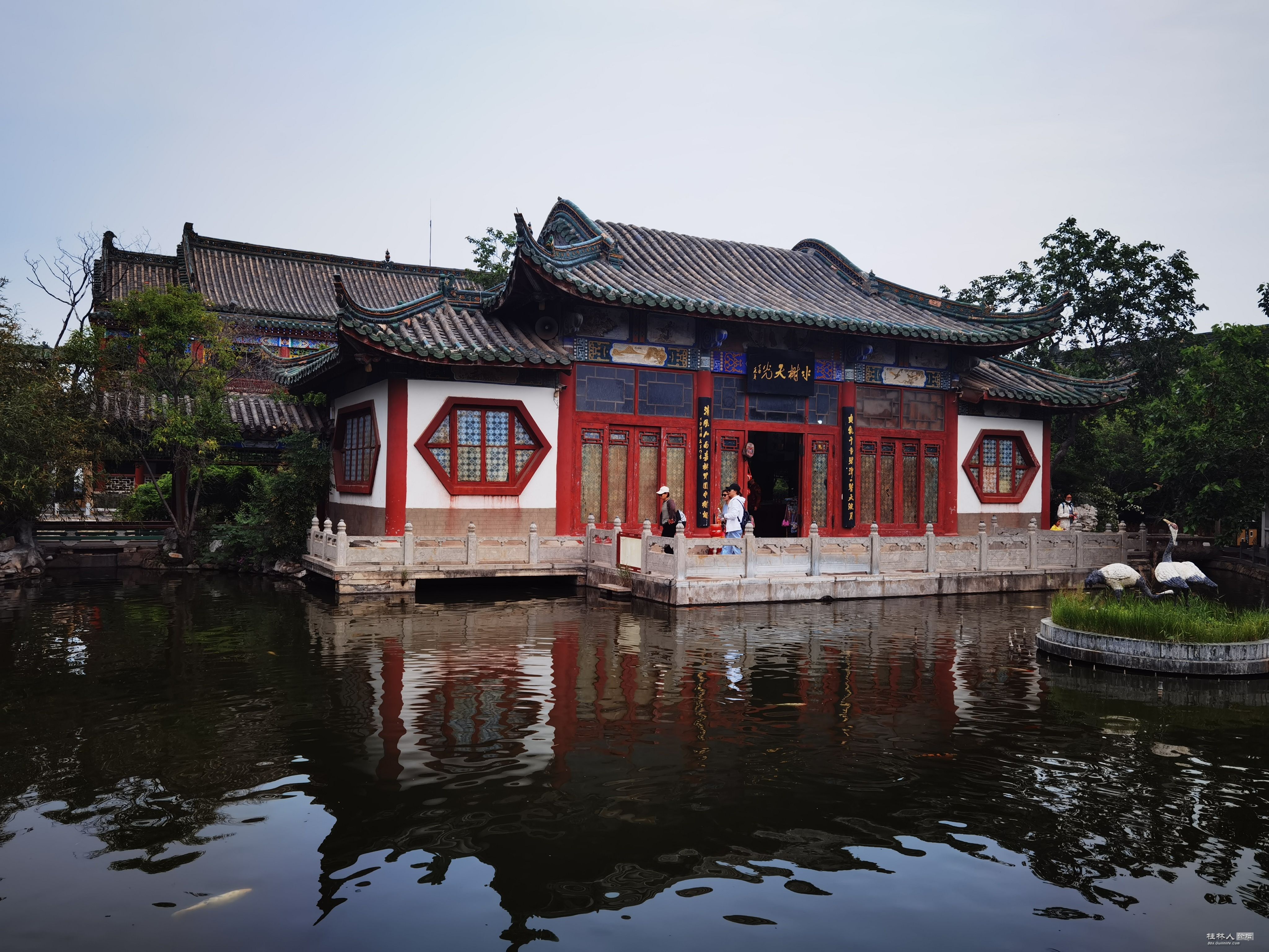 IMG_20230511_103624(1).jpg