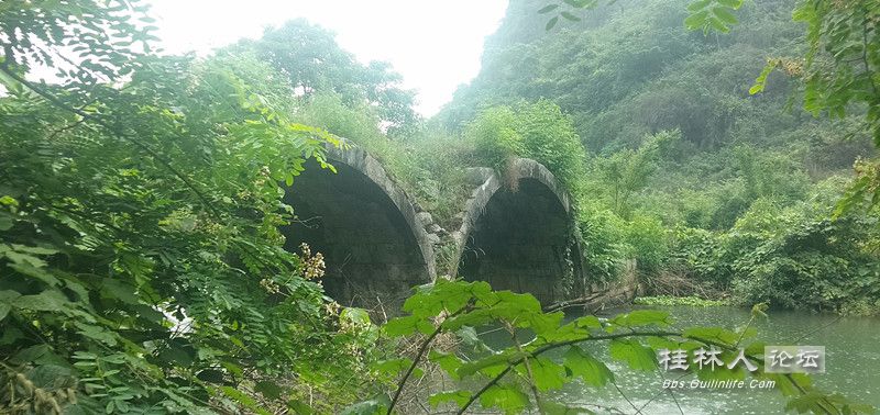 IMG20230520161925.jpg
