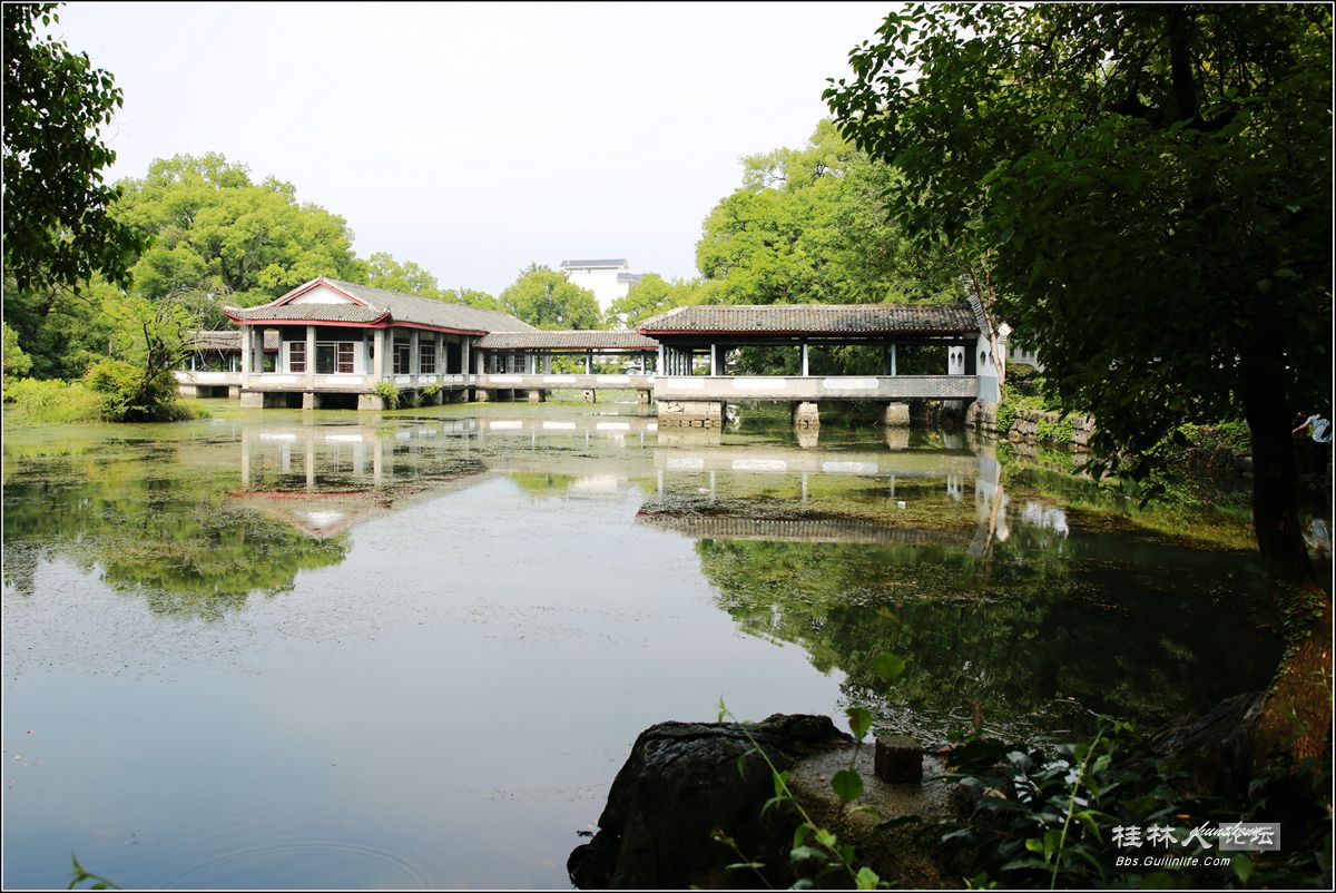 4N9A1443__.jpg