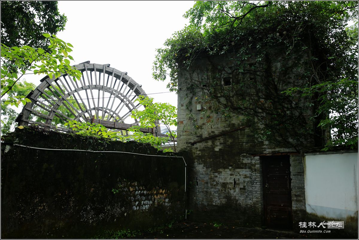 4N9A1512_.jpg
