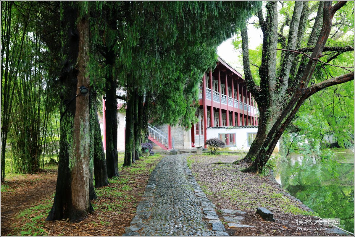 4N9A1569_.jpg