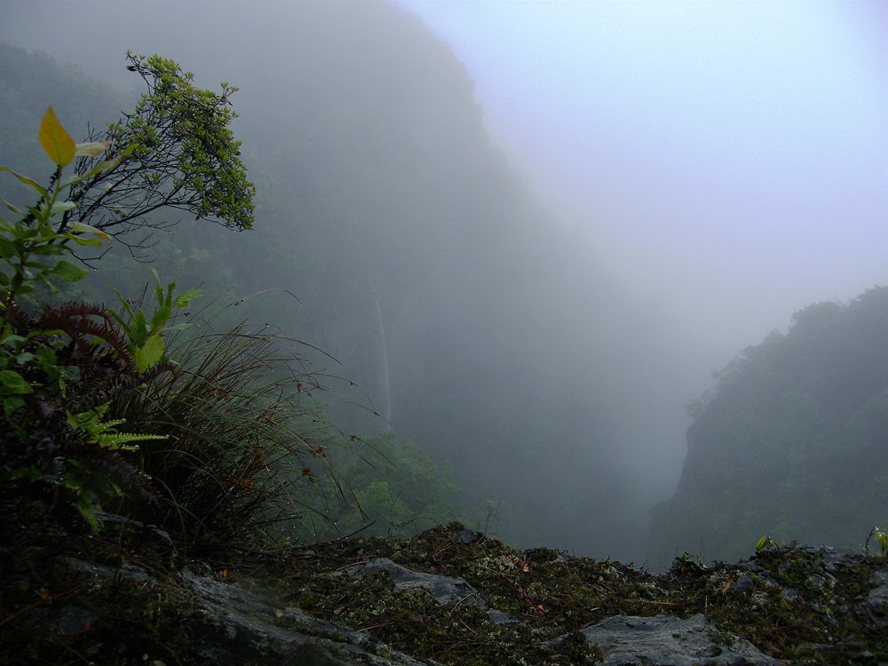 DSCF5403_.jpg
