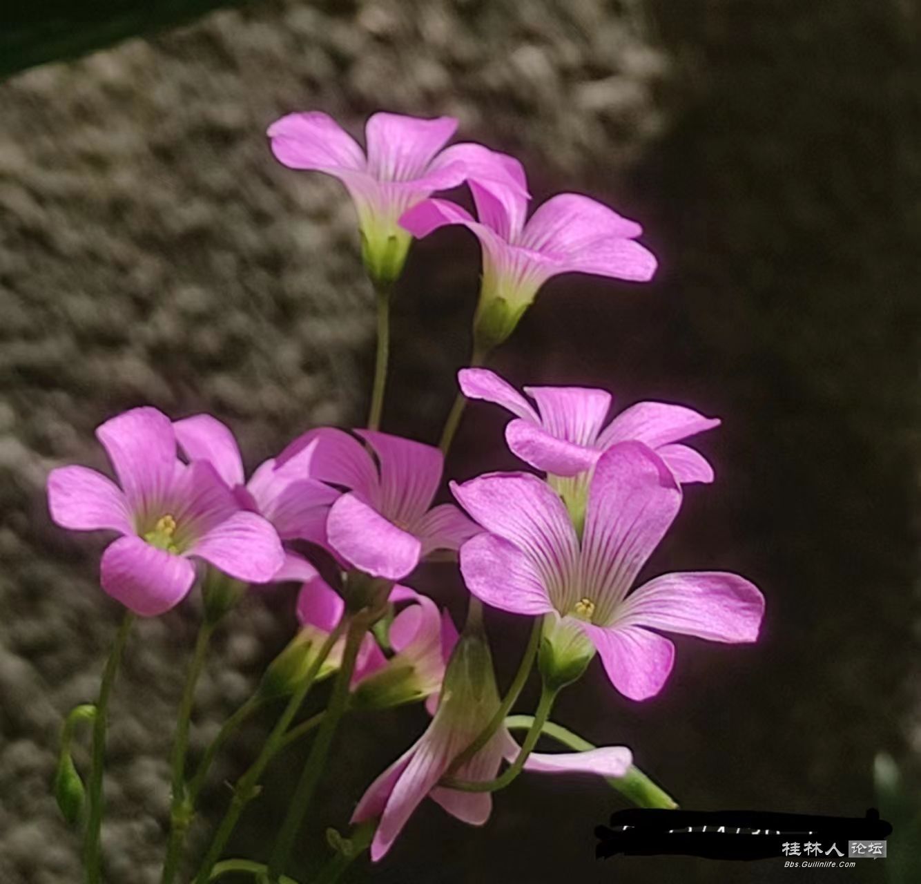 ΢ͼƬ_20230606210927.jpg