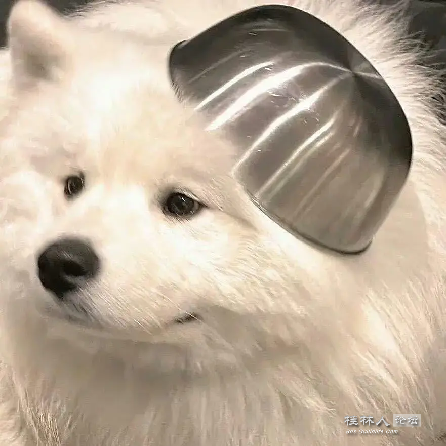 ͼ202306081143121650..png