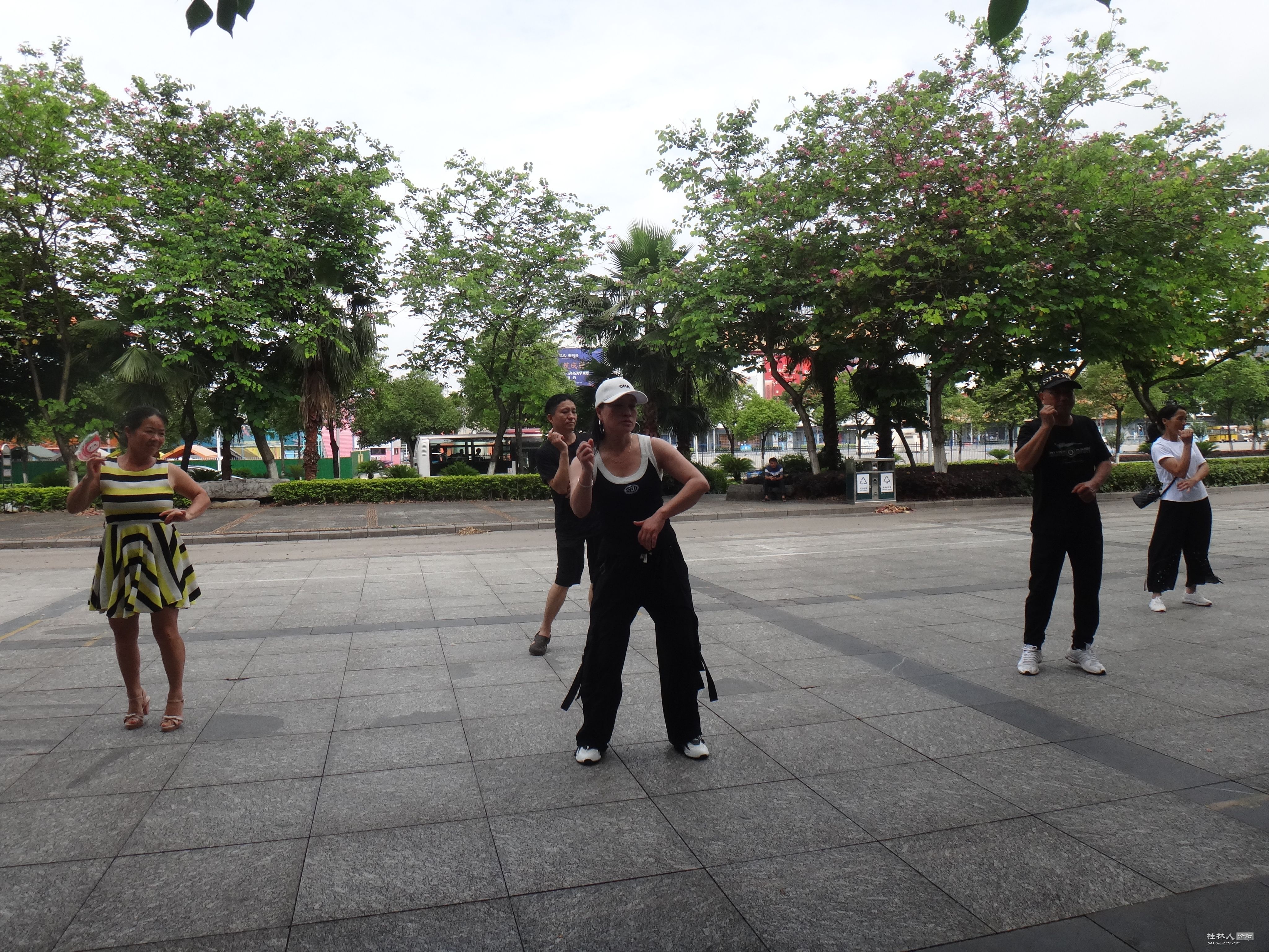 DSC04900.JPG