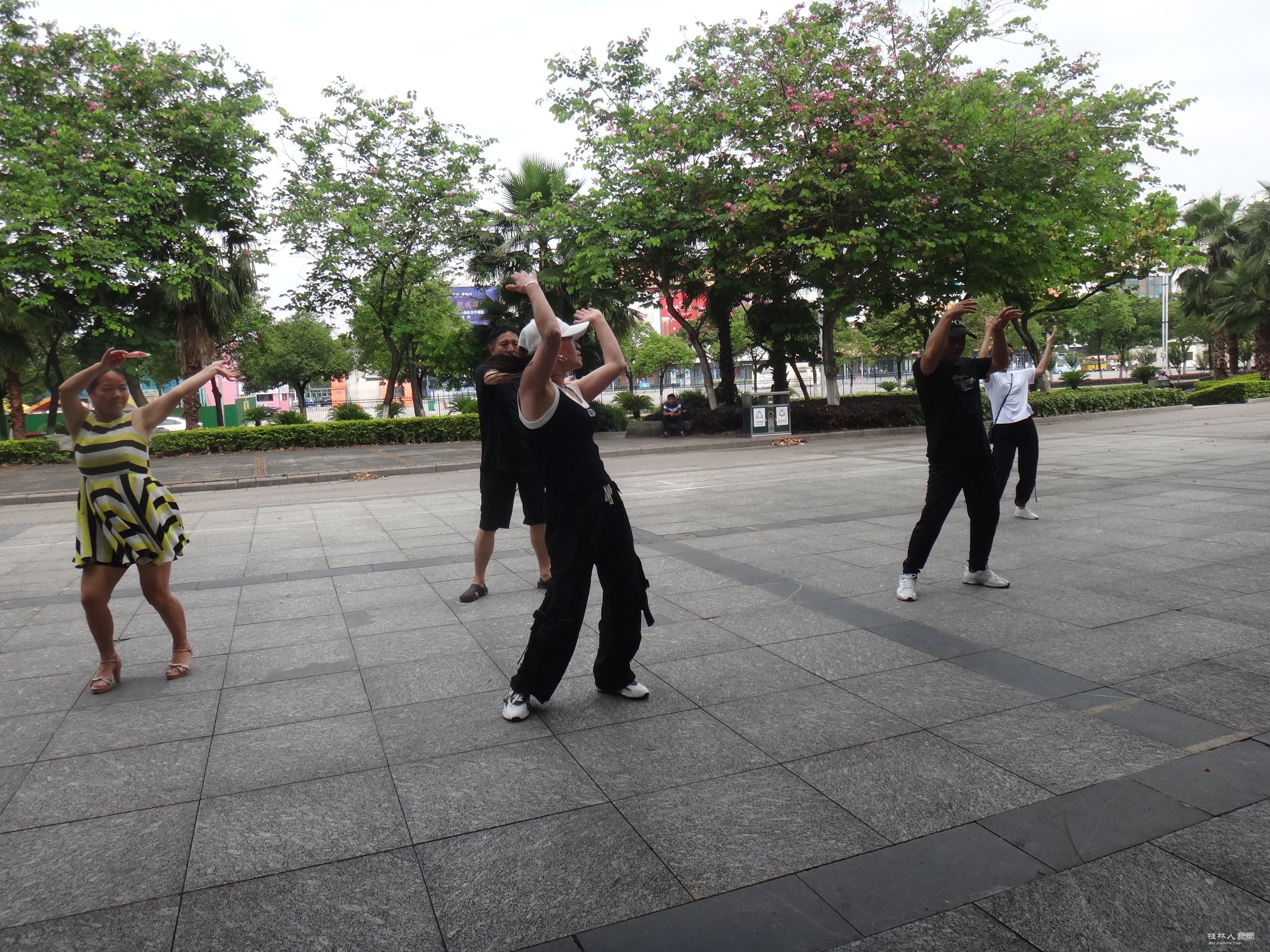 DSC04904.JPG