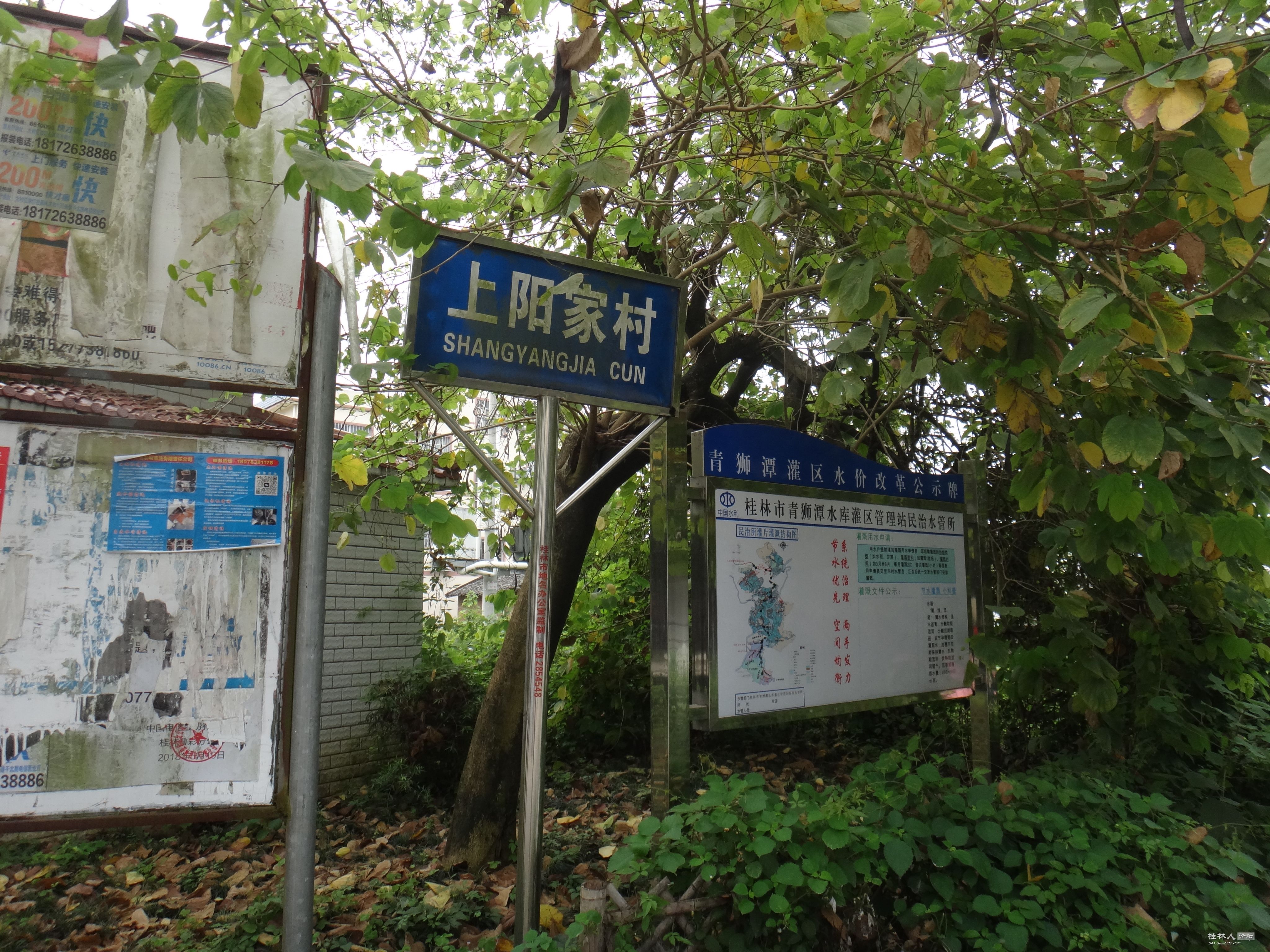 DSC04935.JPG