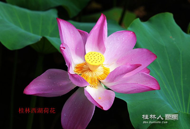 DSC05166_.jpg
