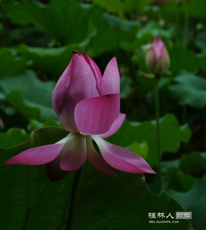 DSC05602_.jpg