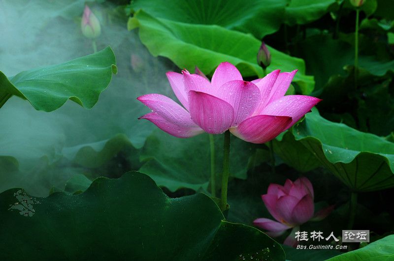 DSC05651.JPG