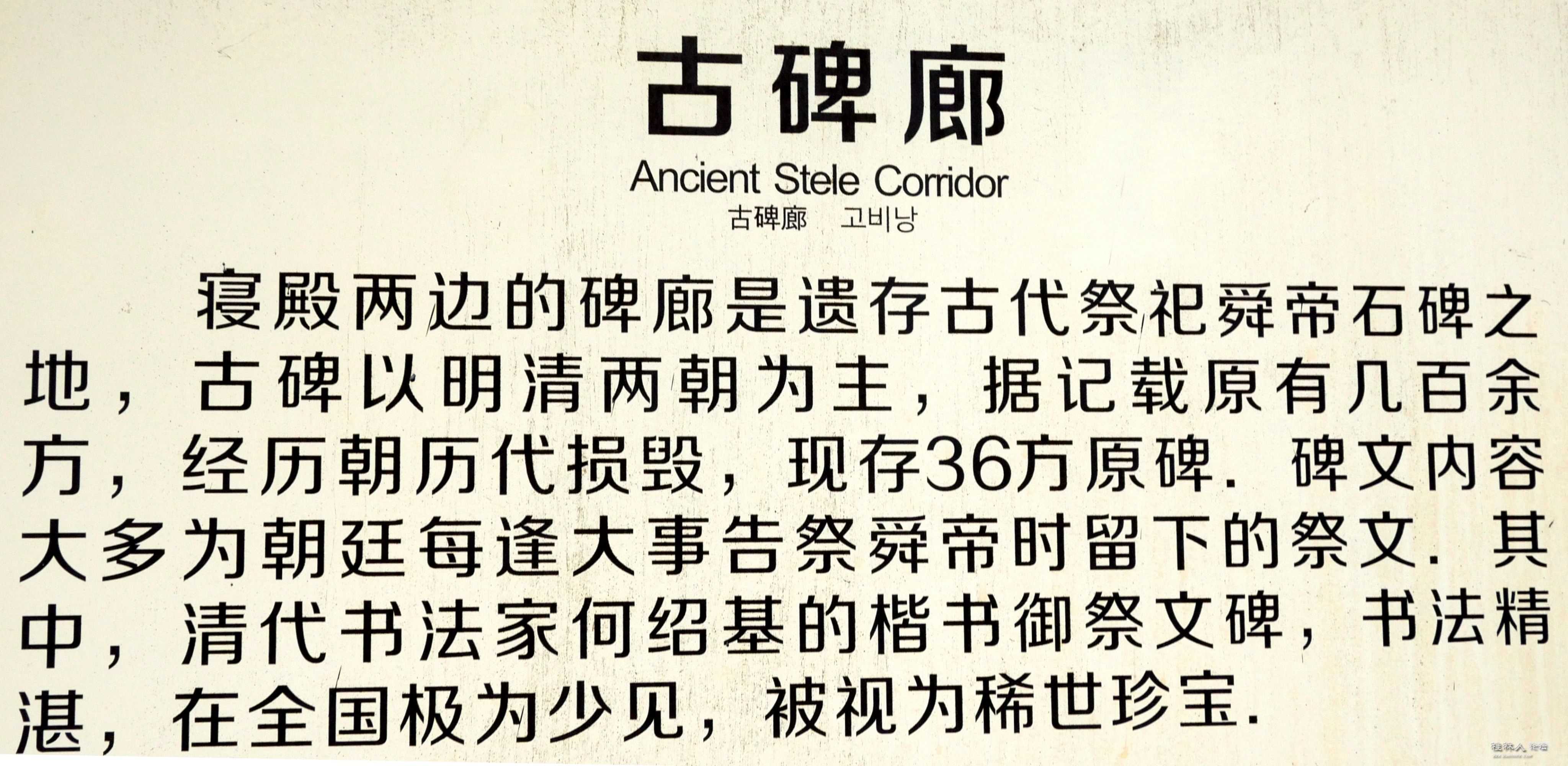 P1011810__.jpg