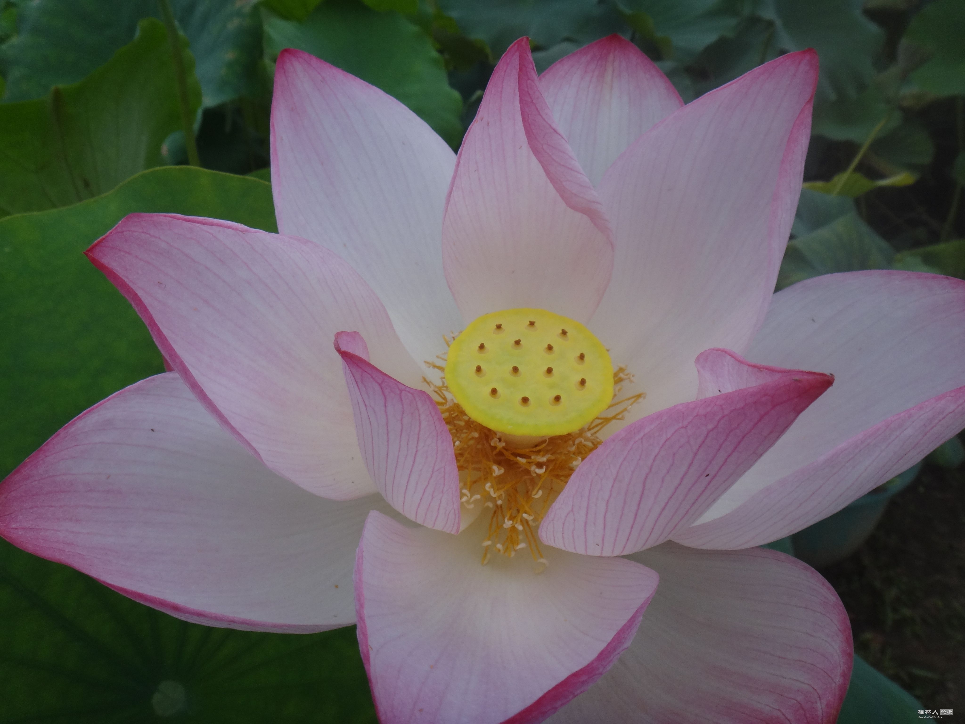 DSC05128.JPG