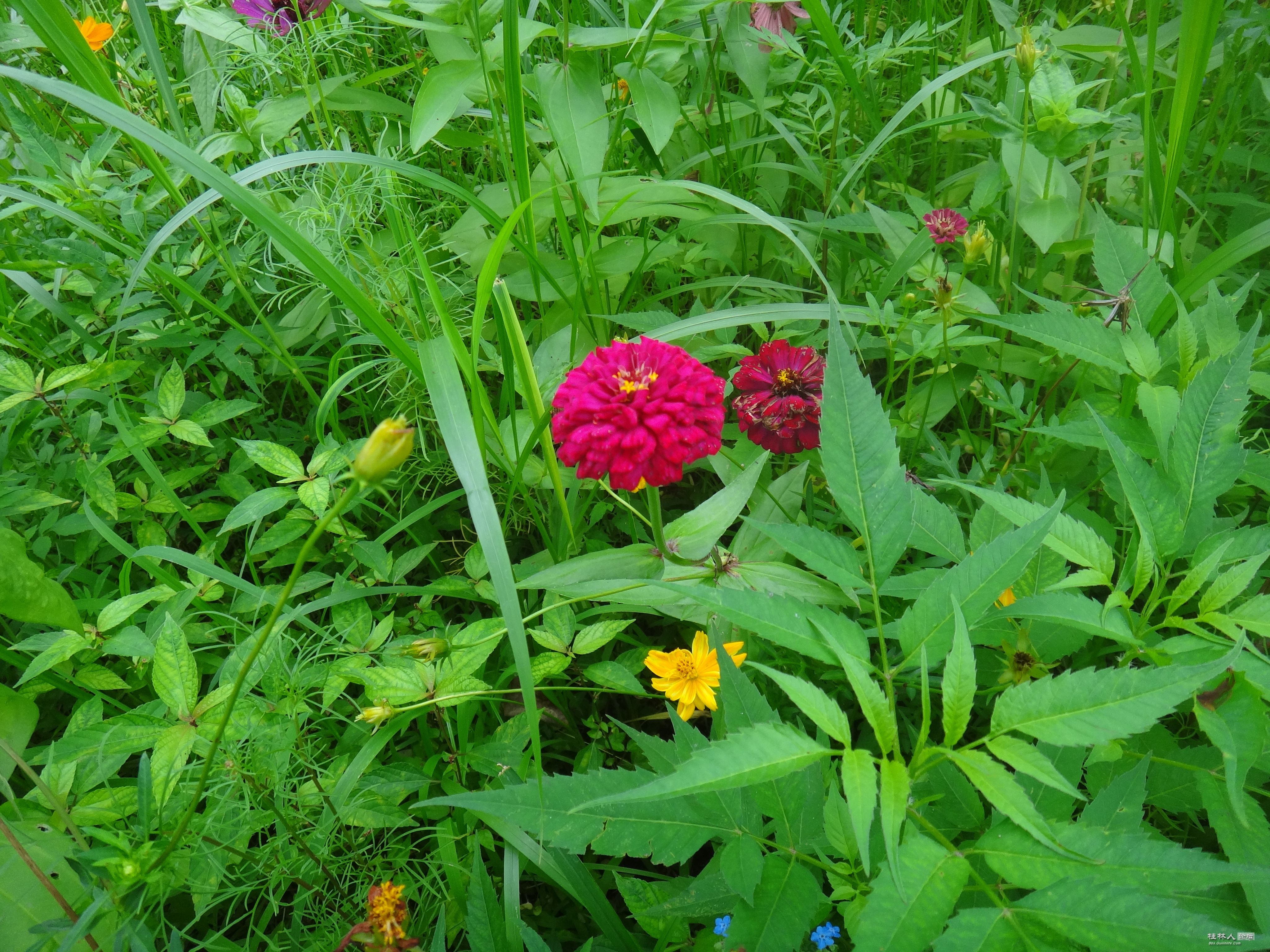 DSC05136.JPG