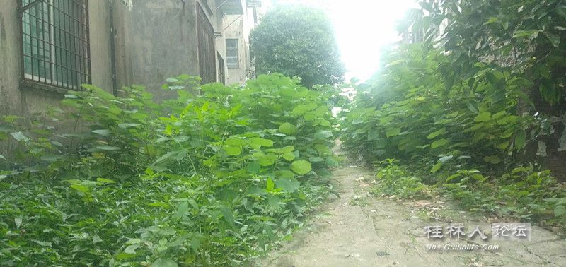 IMG20230703093046.jpg
