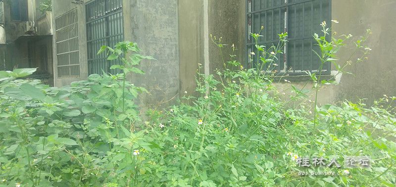 IMG20230703093257.jpg