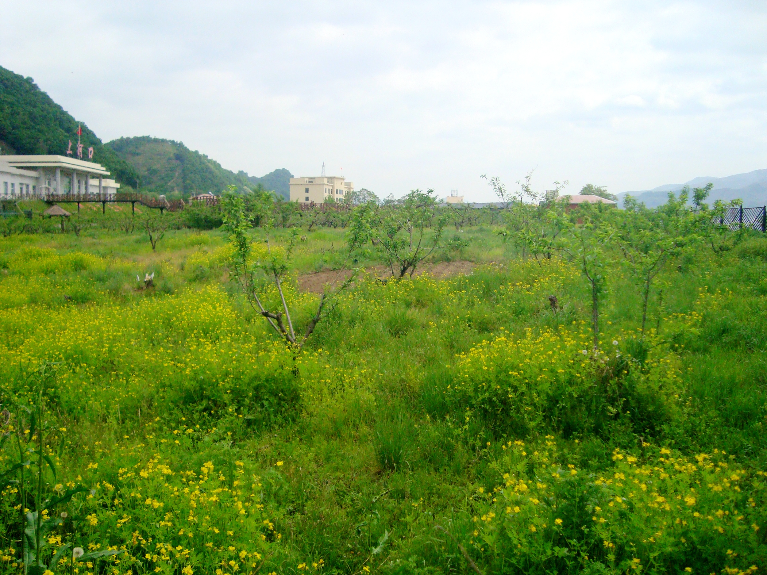 DSC02376.JPG