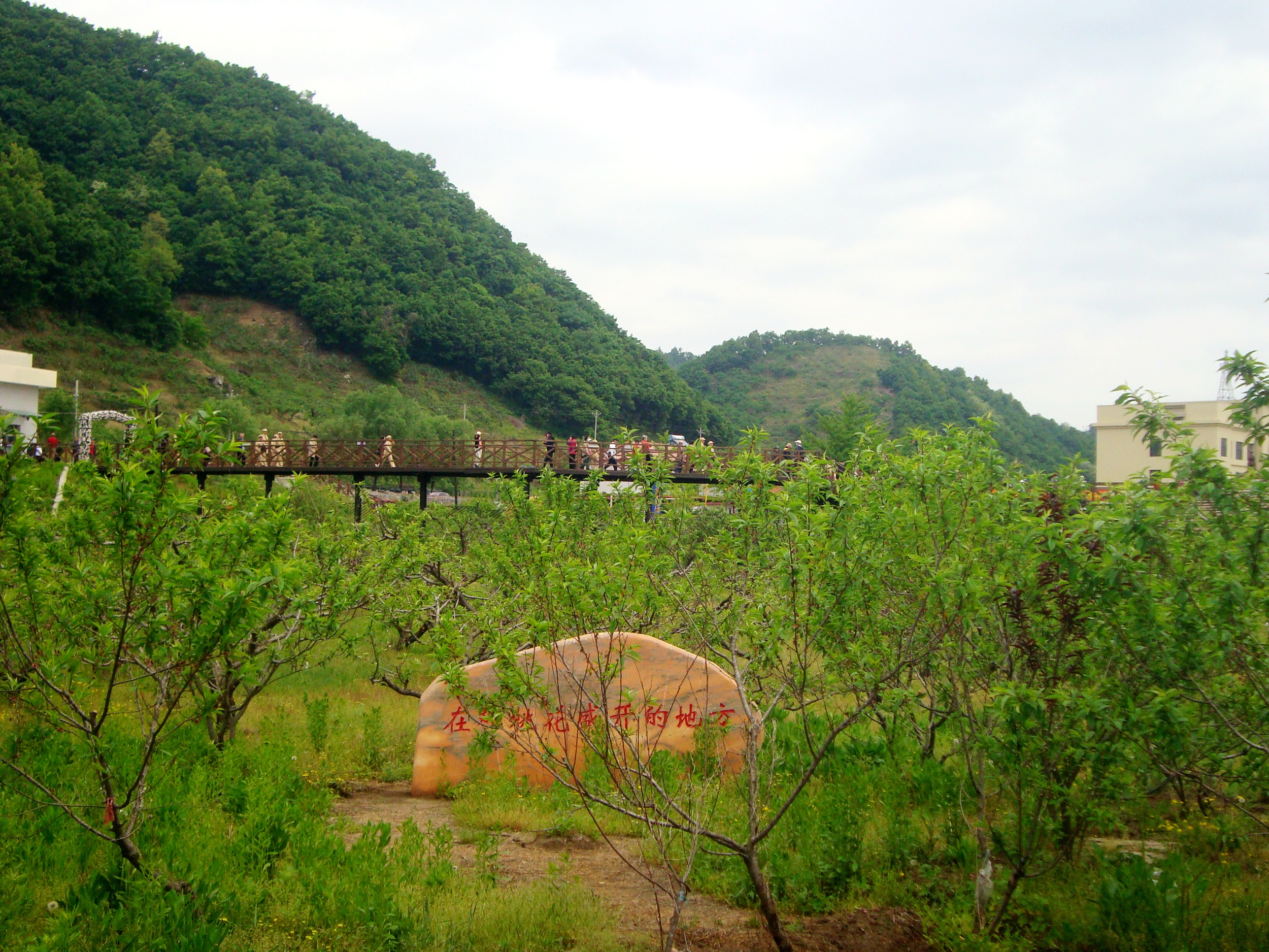 DSC02397.JPG