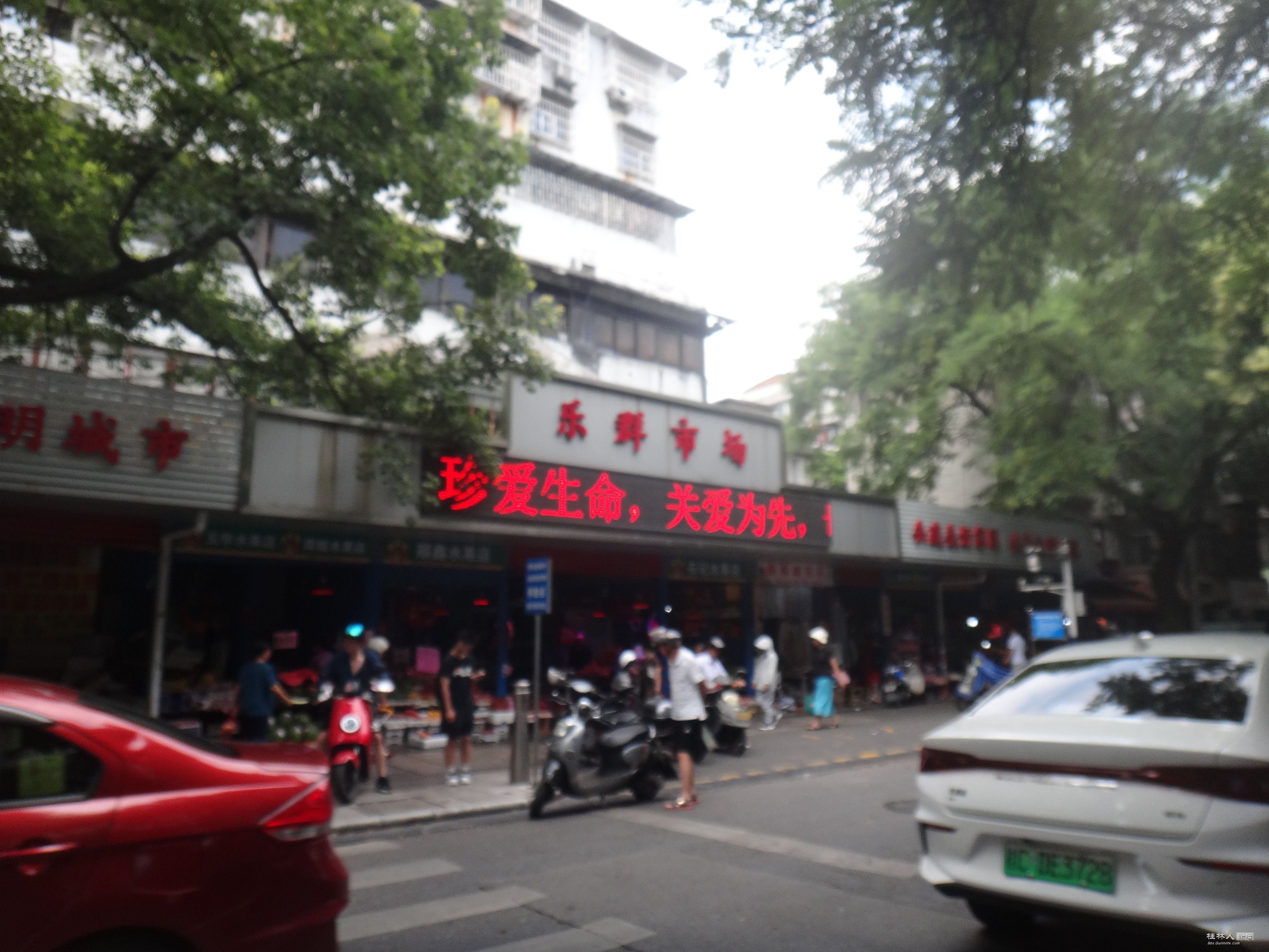 DSC05208.JPG