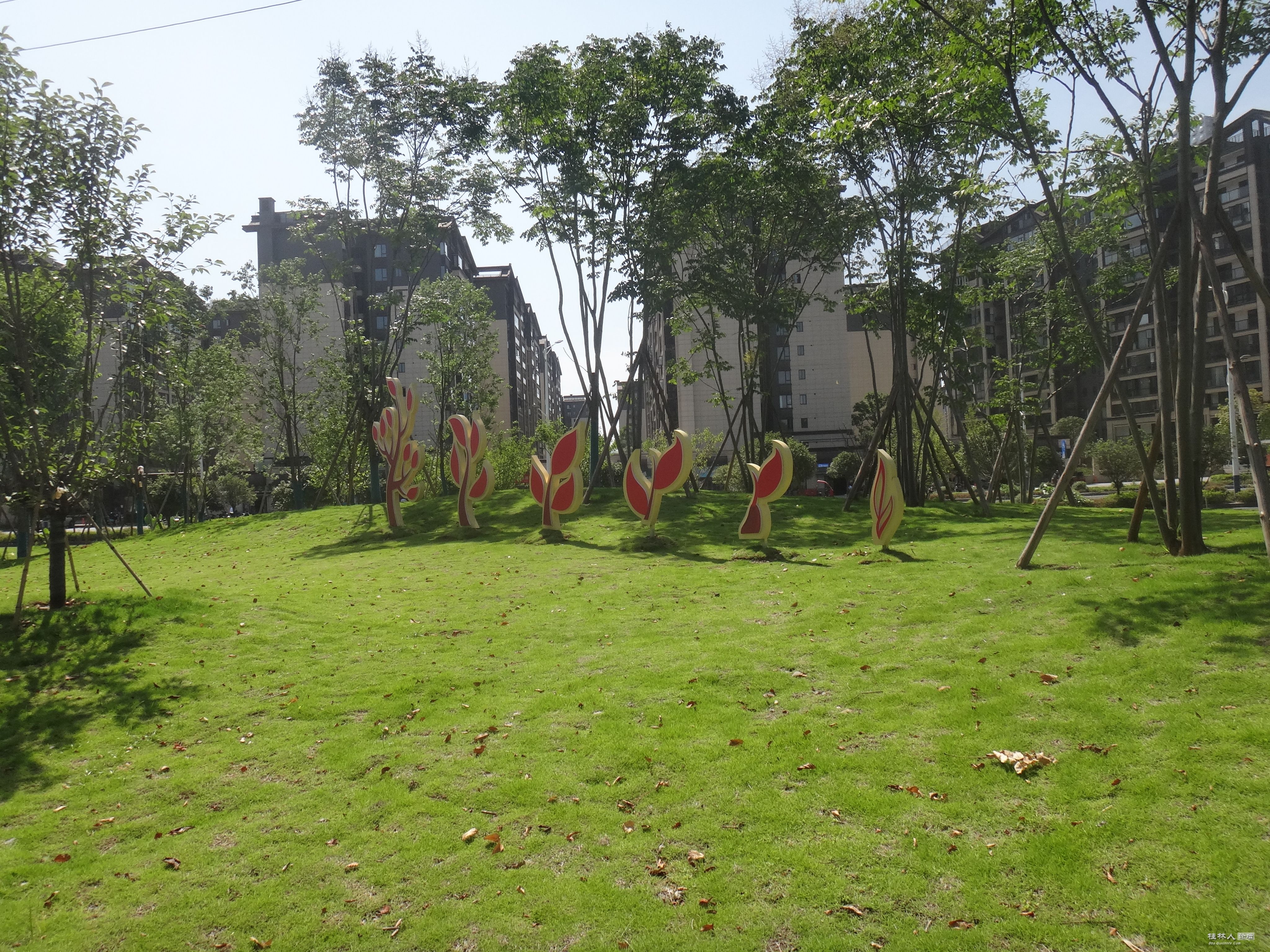 DSC05356.JPG