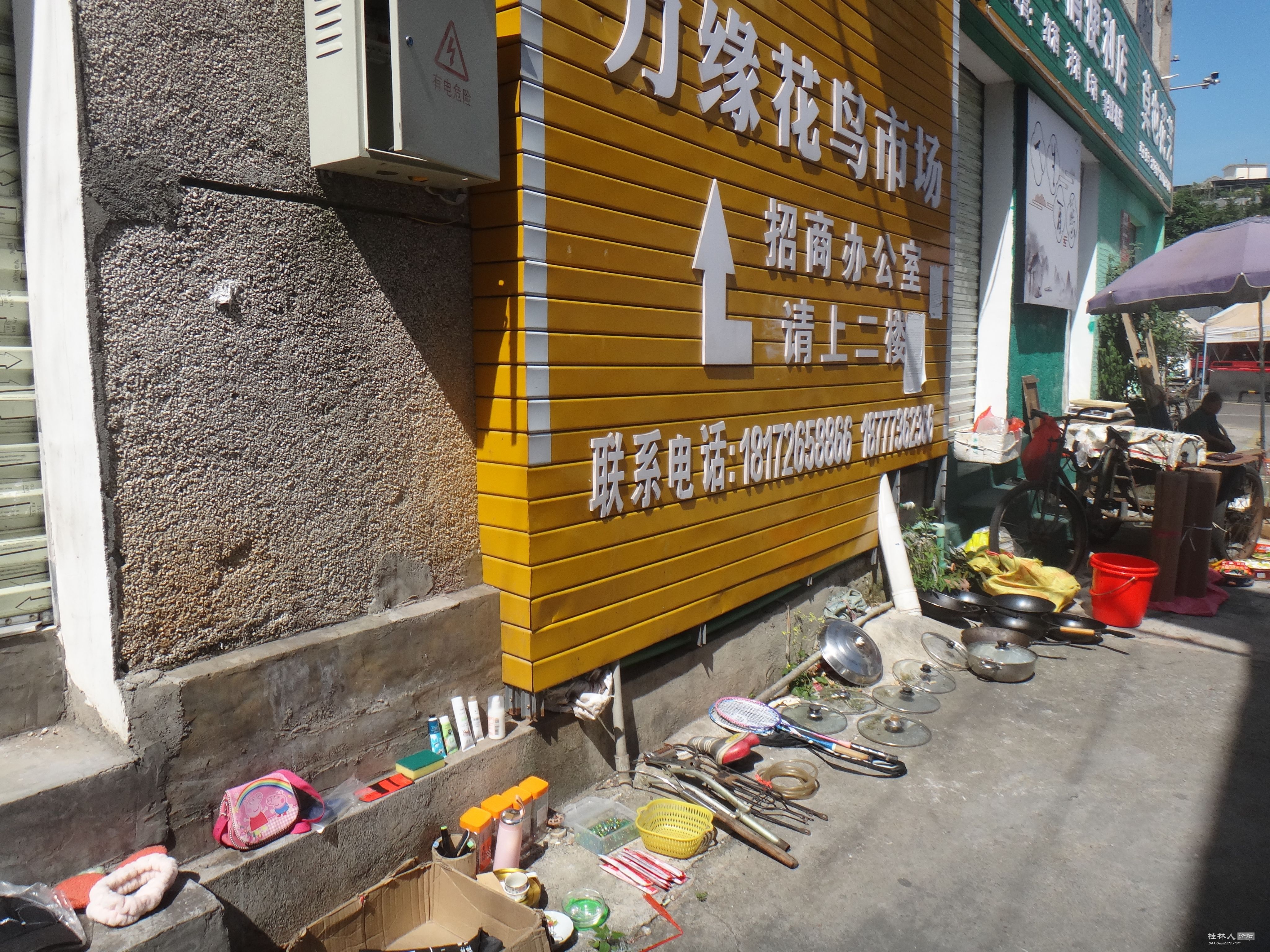 DSC05345.JPG