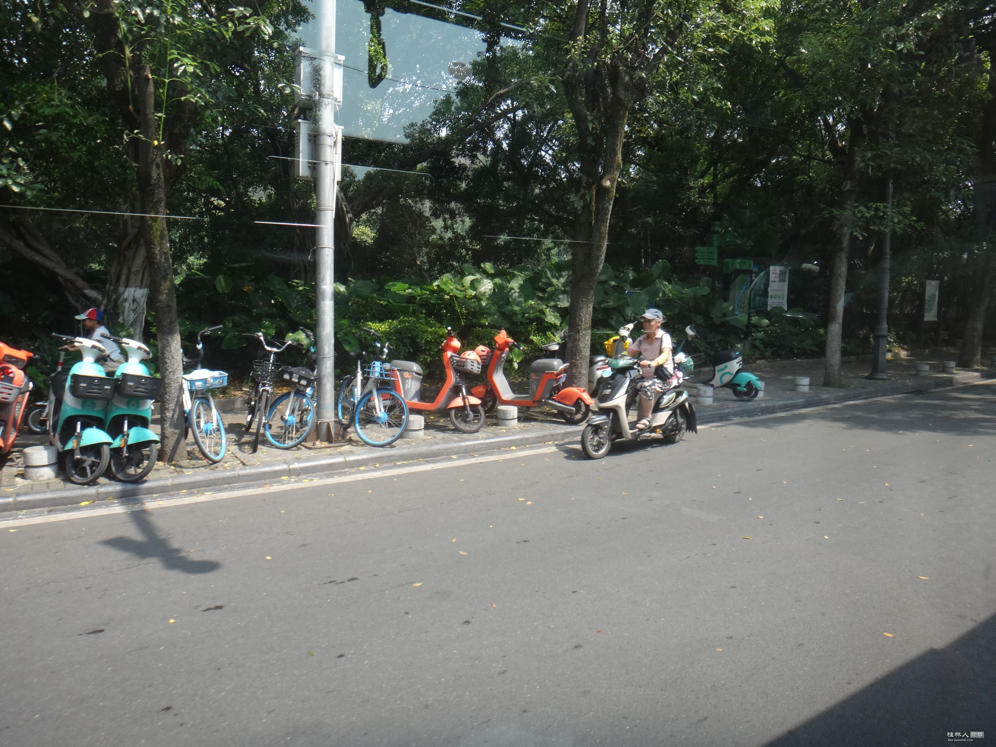 DSC05436.JPG