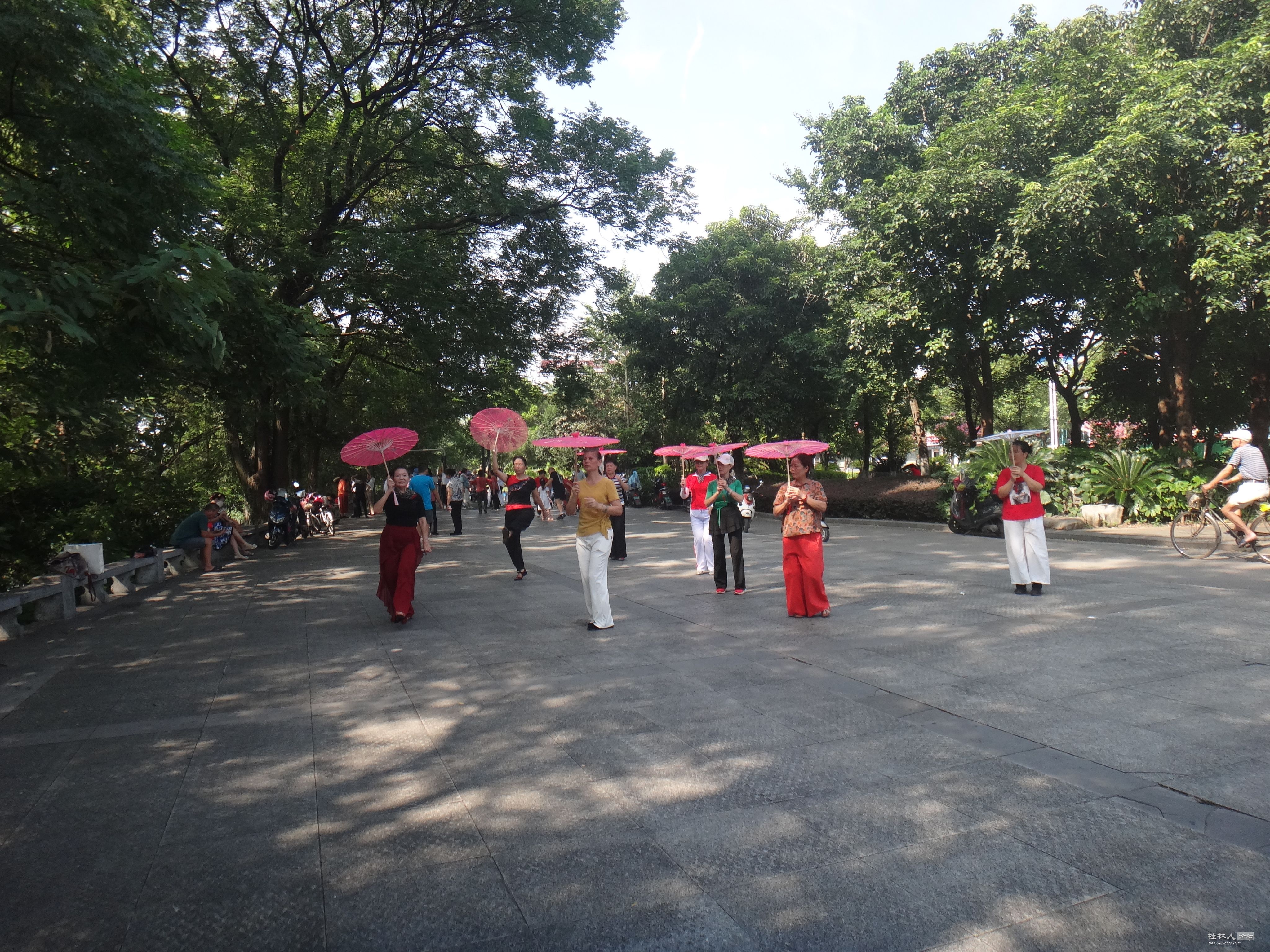 DSC05461.JPG