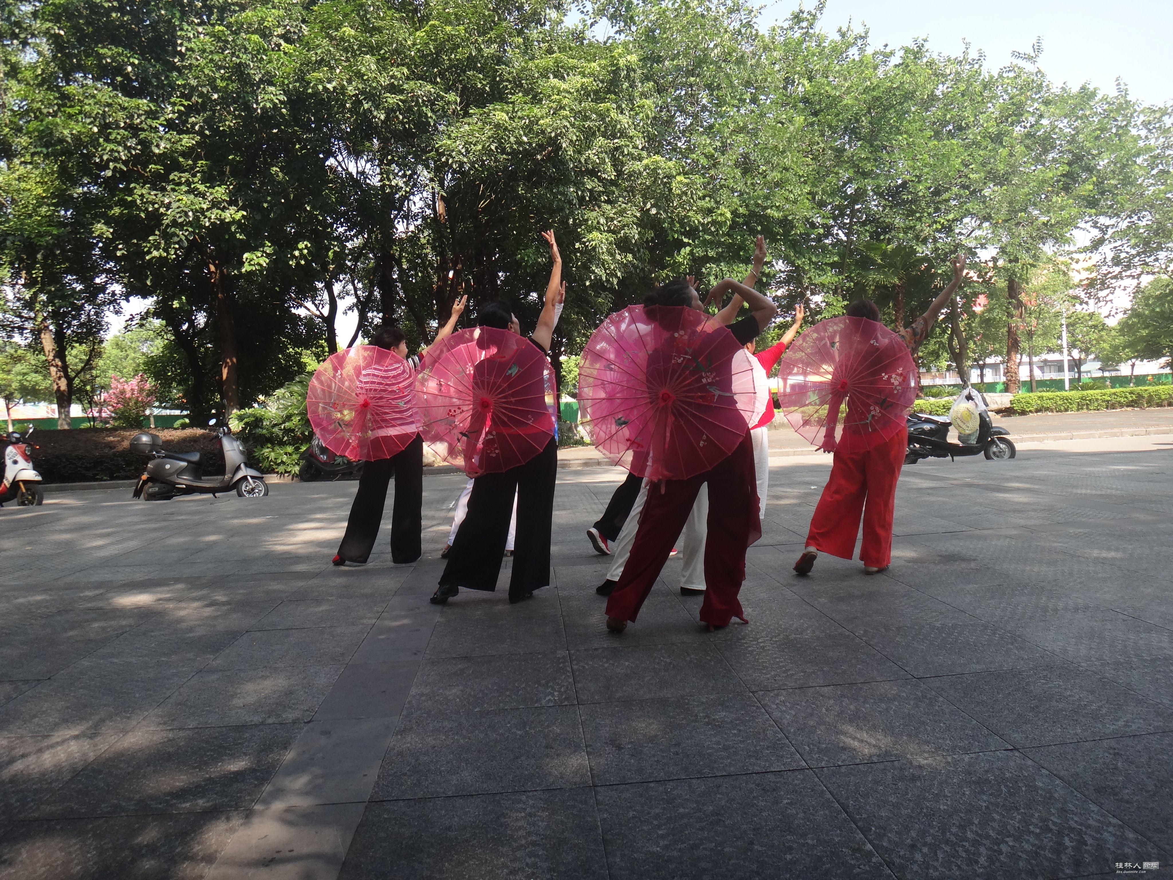 DSC05463.JPG