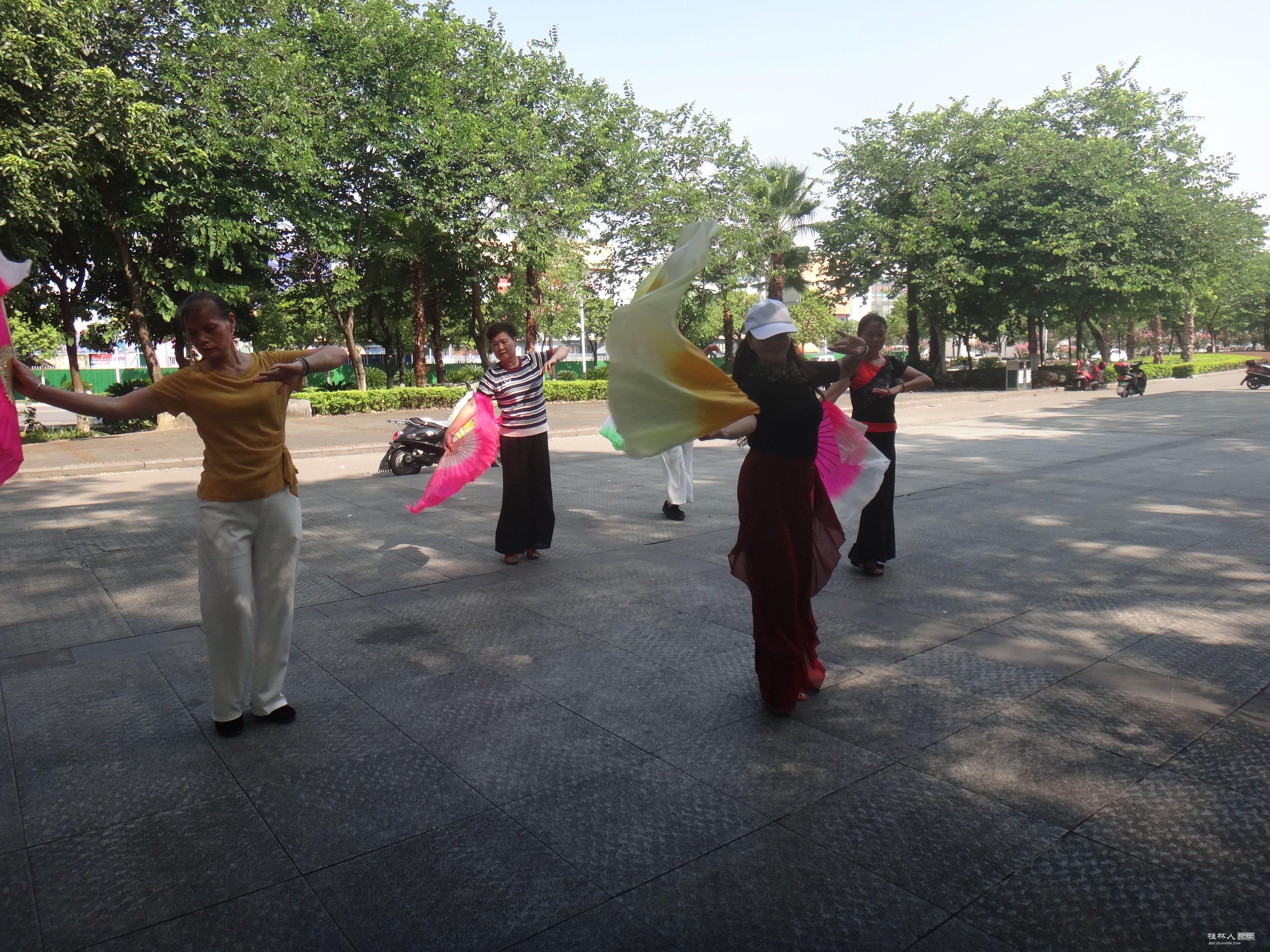 DSC05471.JPG