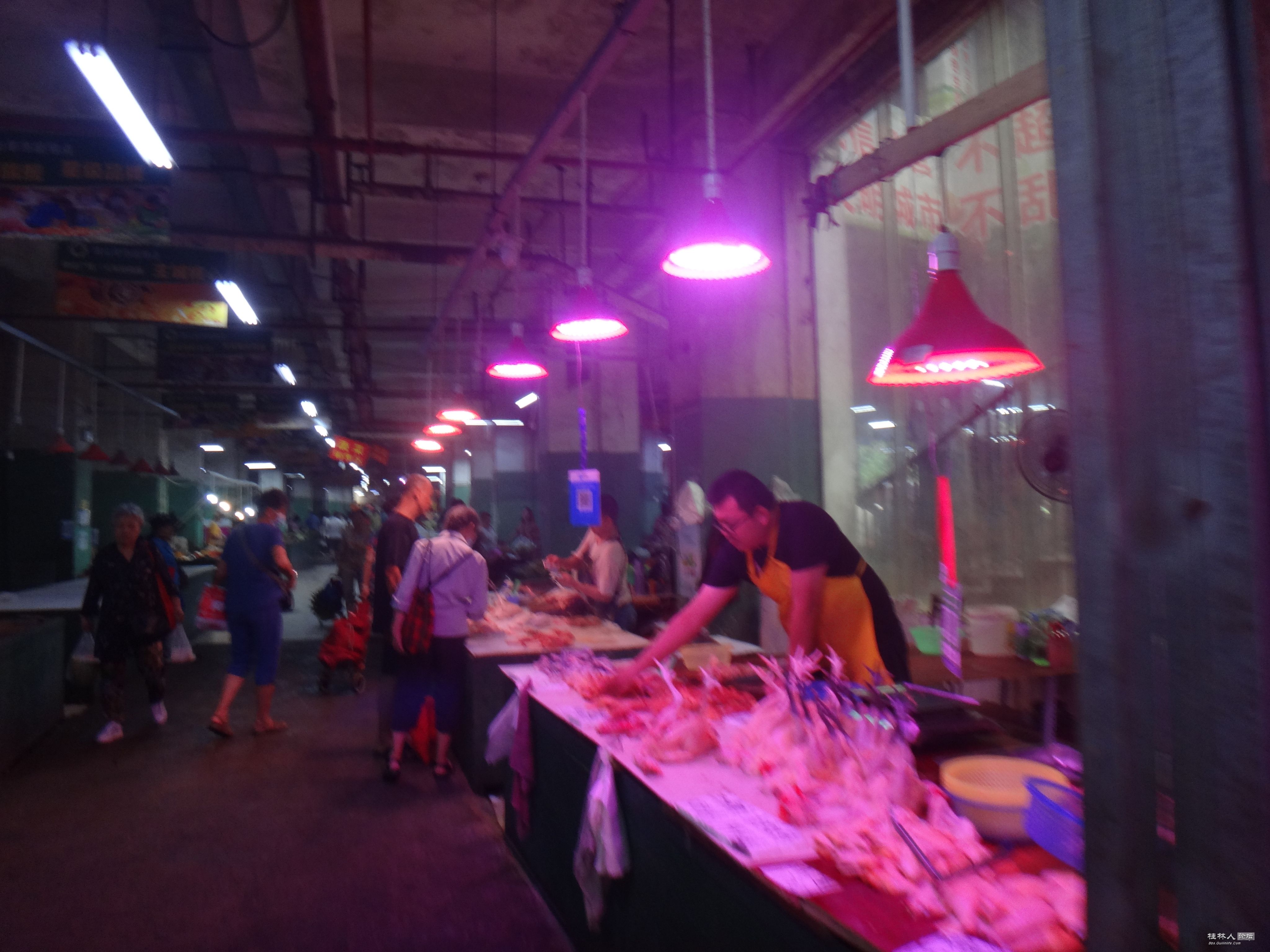 DSC05517.JPG