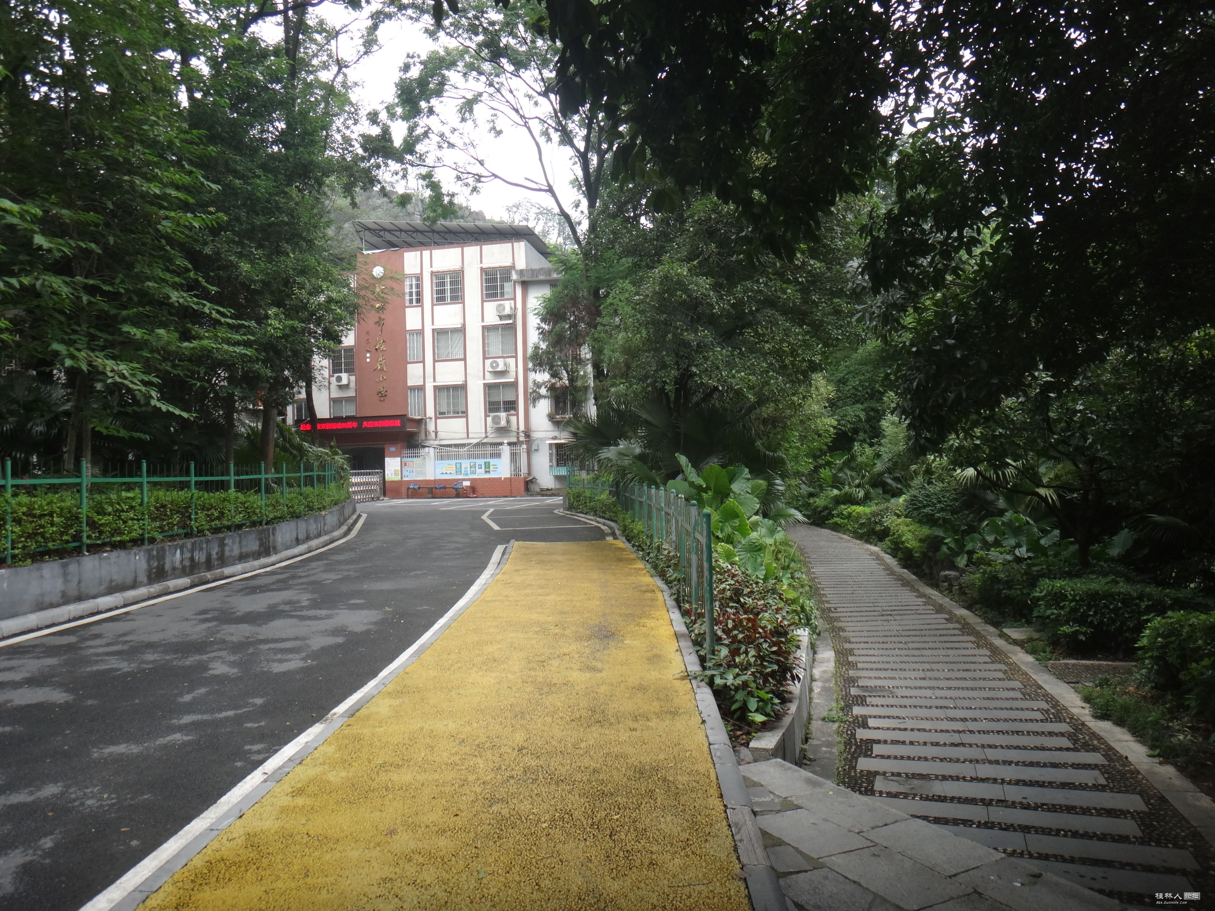 DSC05523.JPG