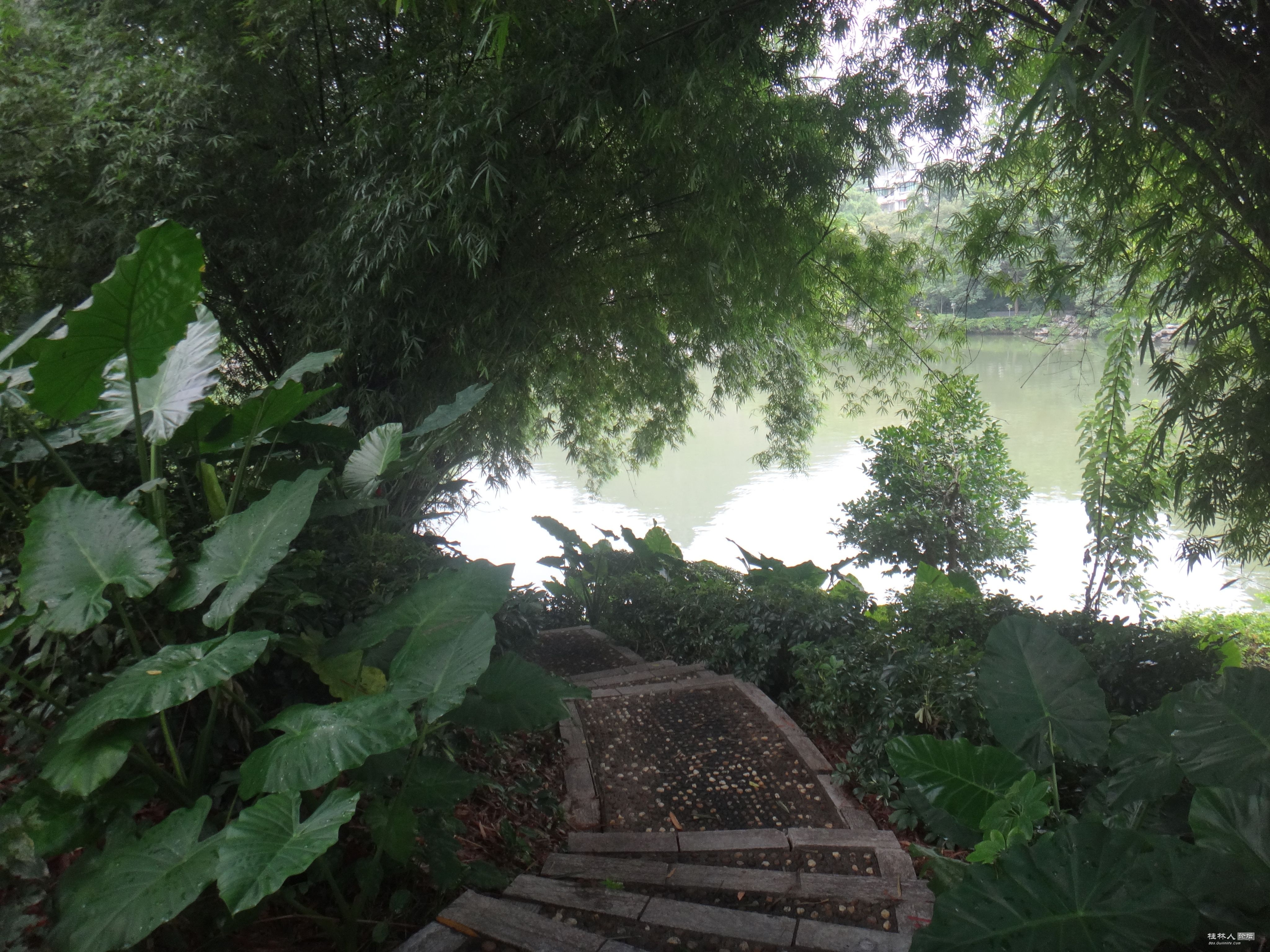 DSC05524.JPG