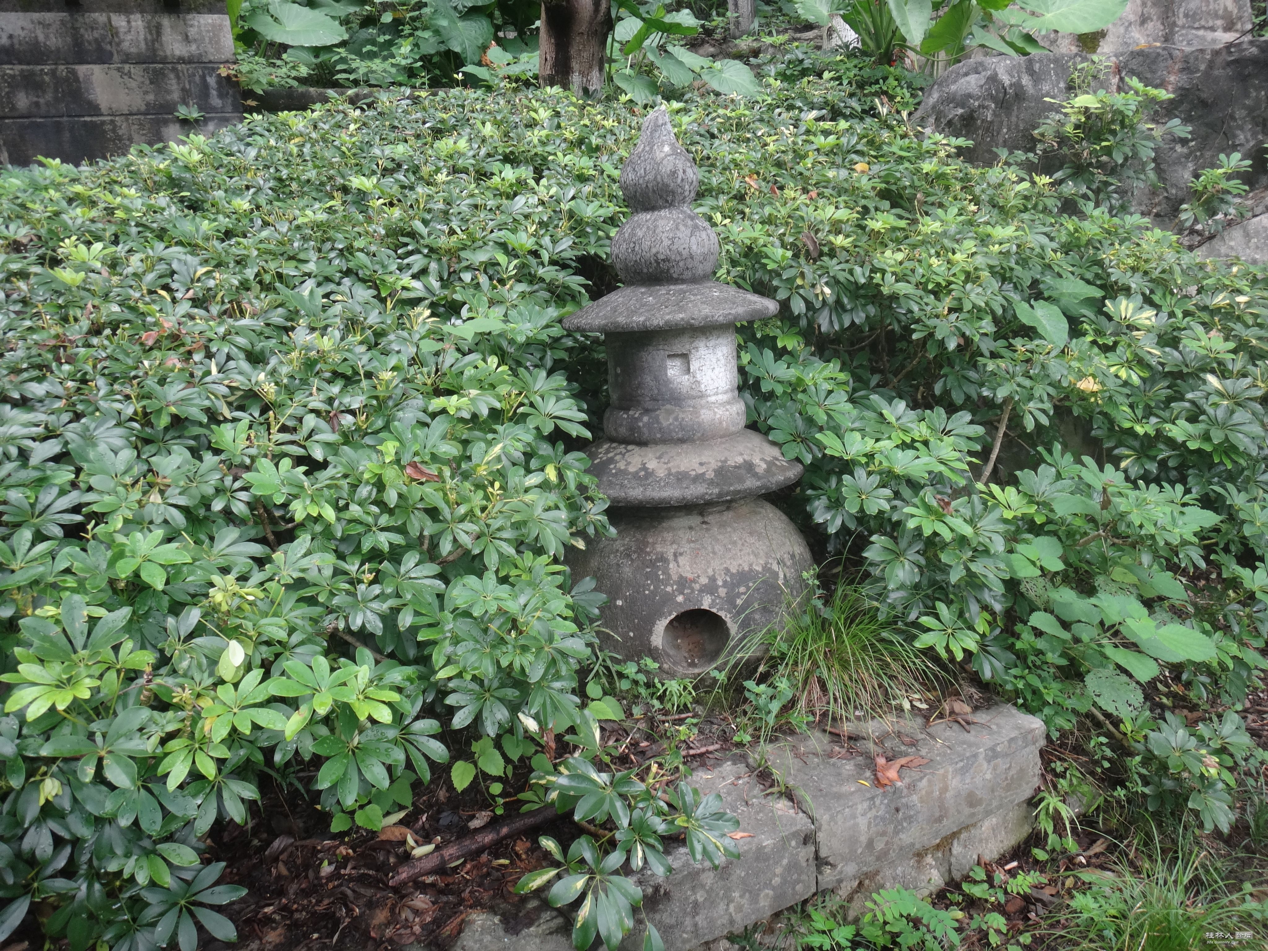DSC05529.JPG