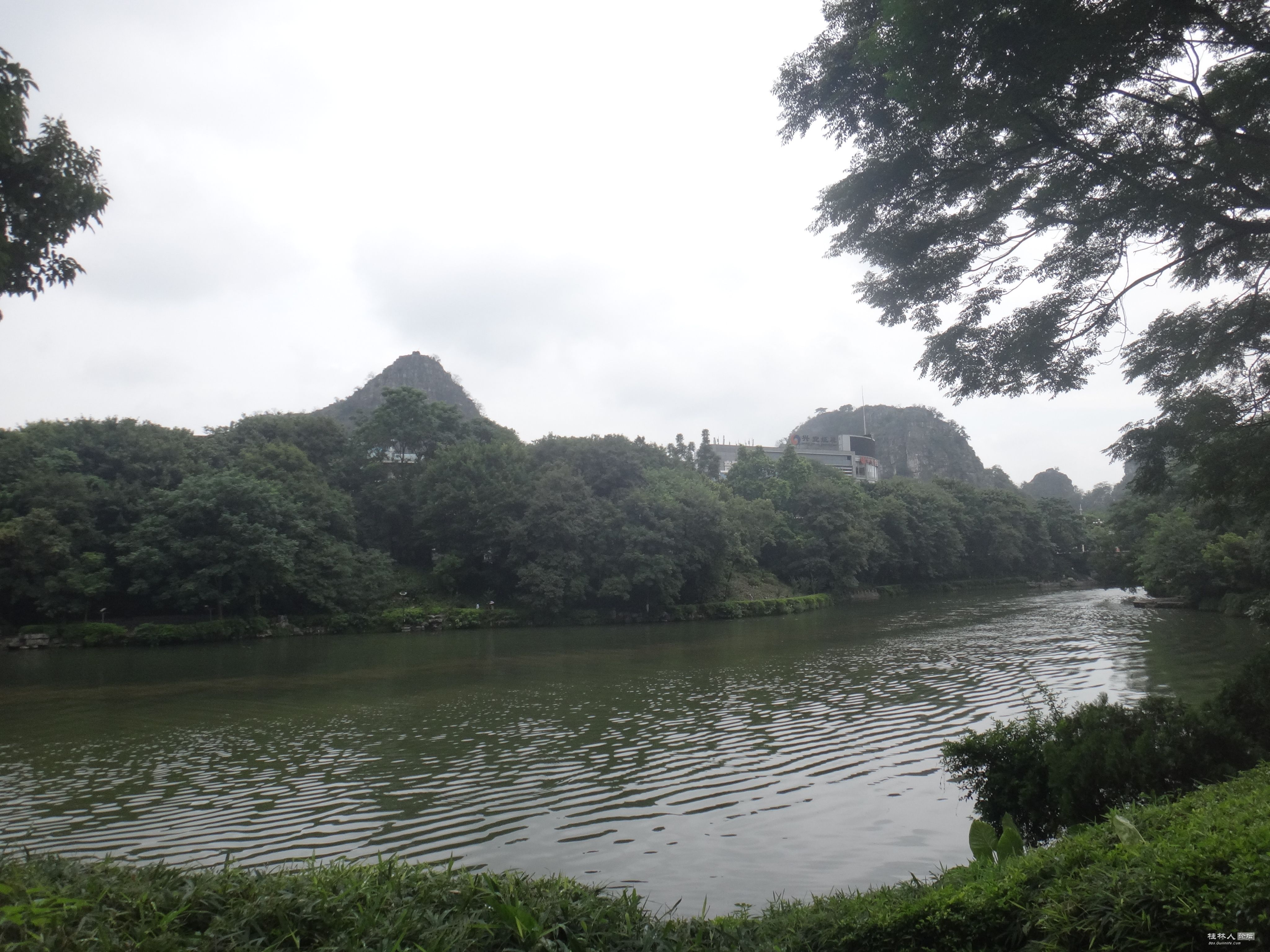 DSC05528.JPG