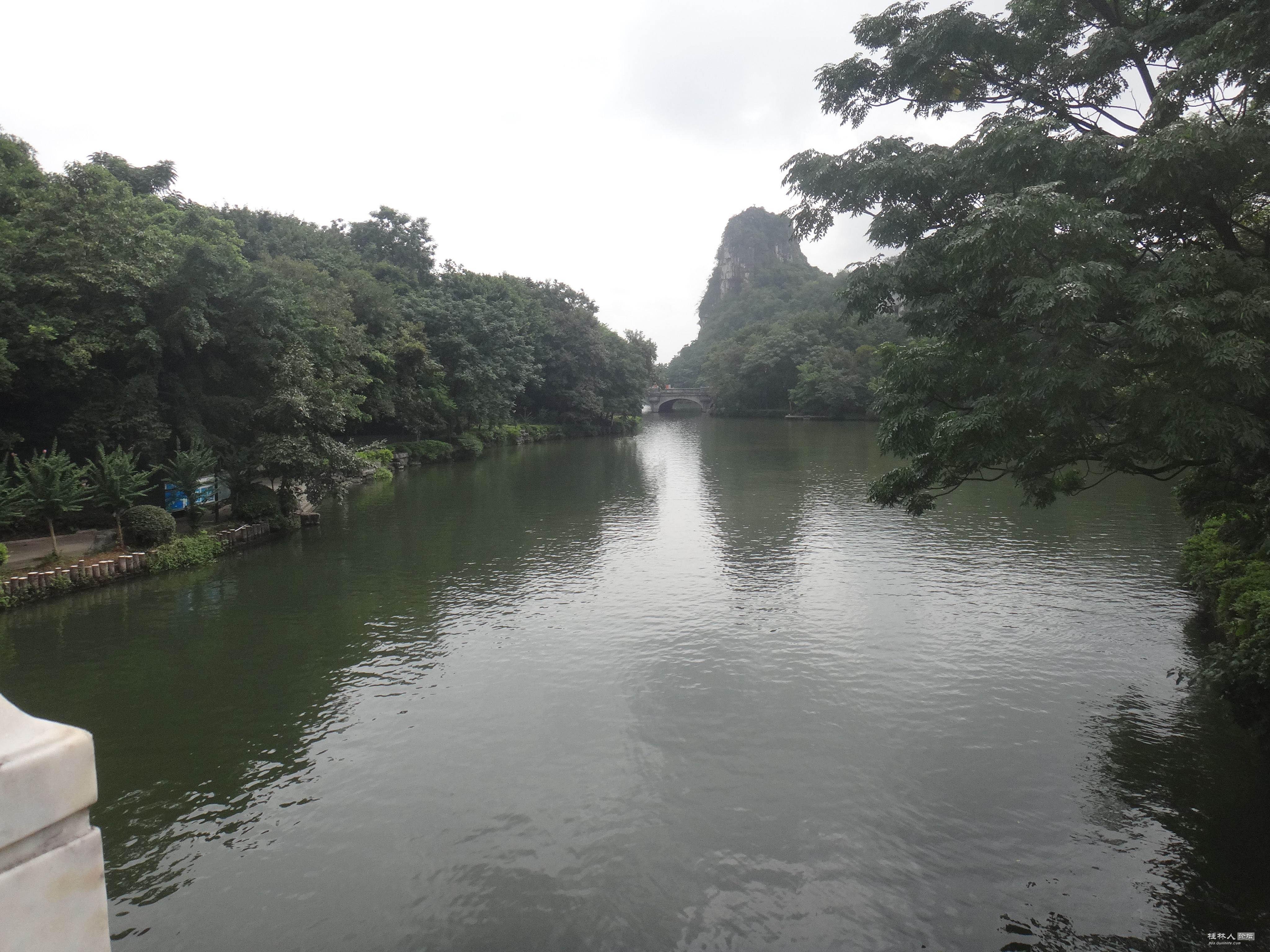 DSC05530.JPG