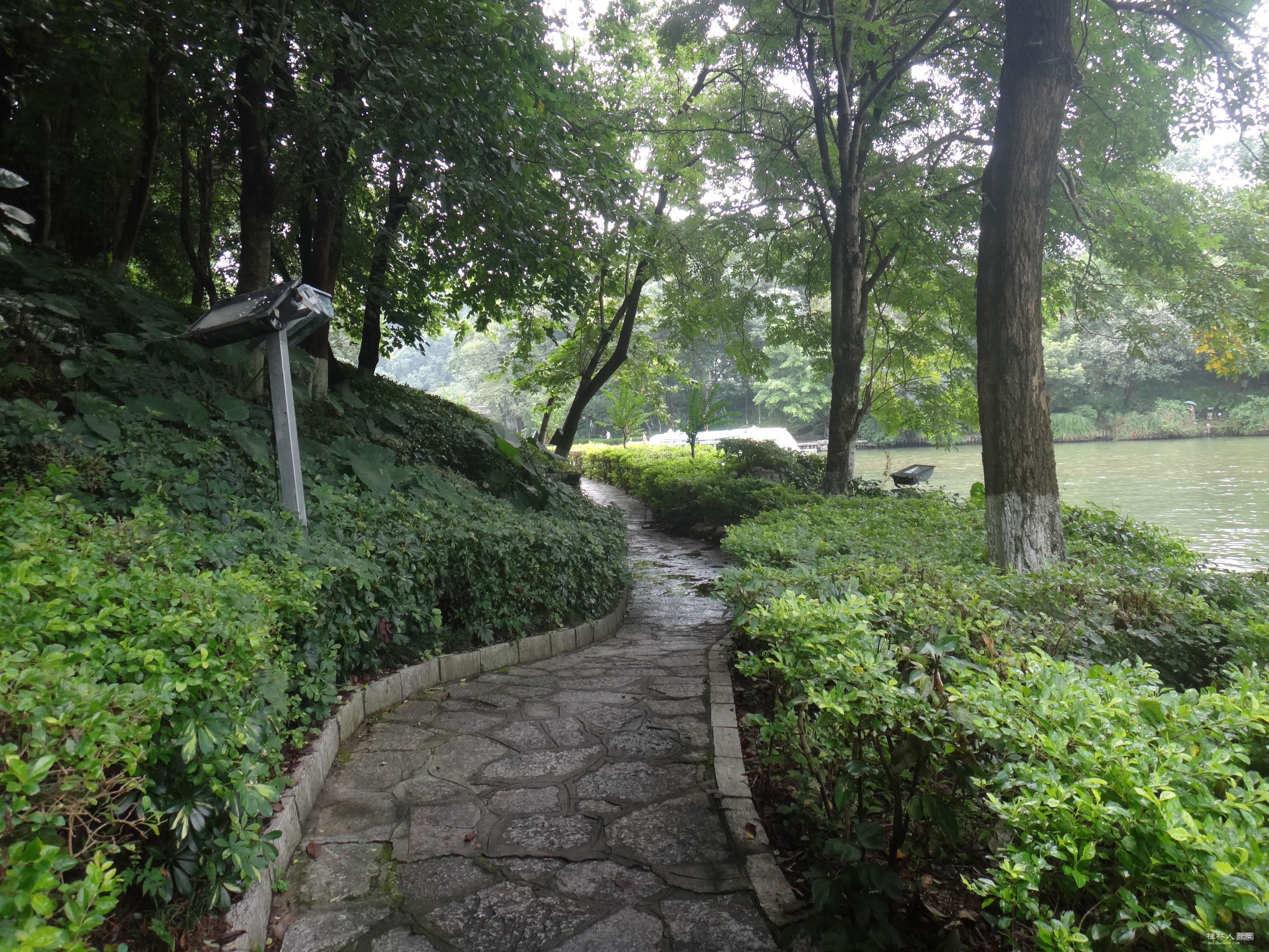 DSC05537.JPG
